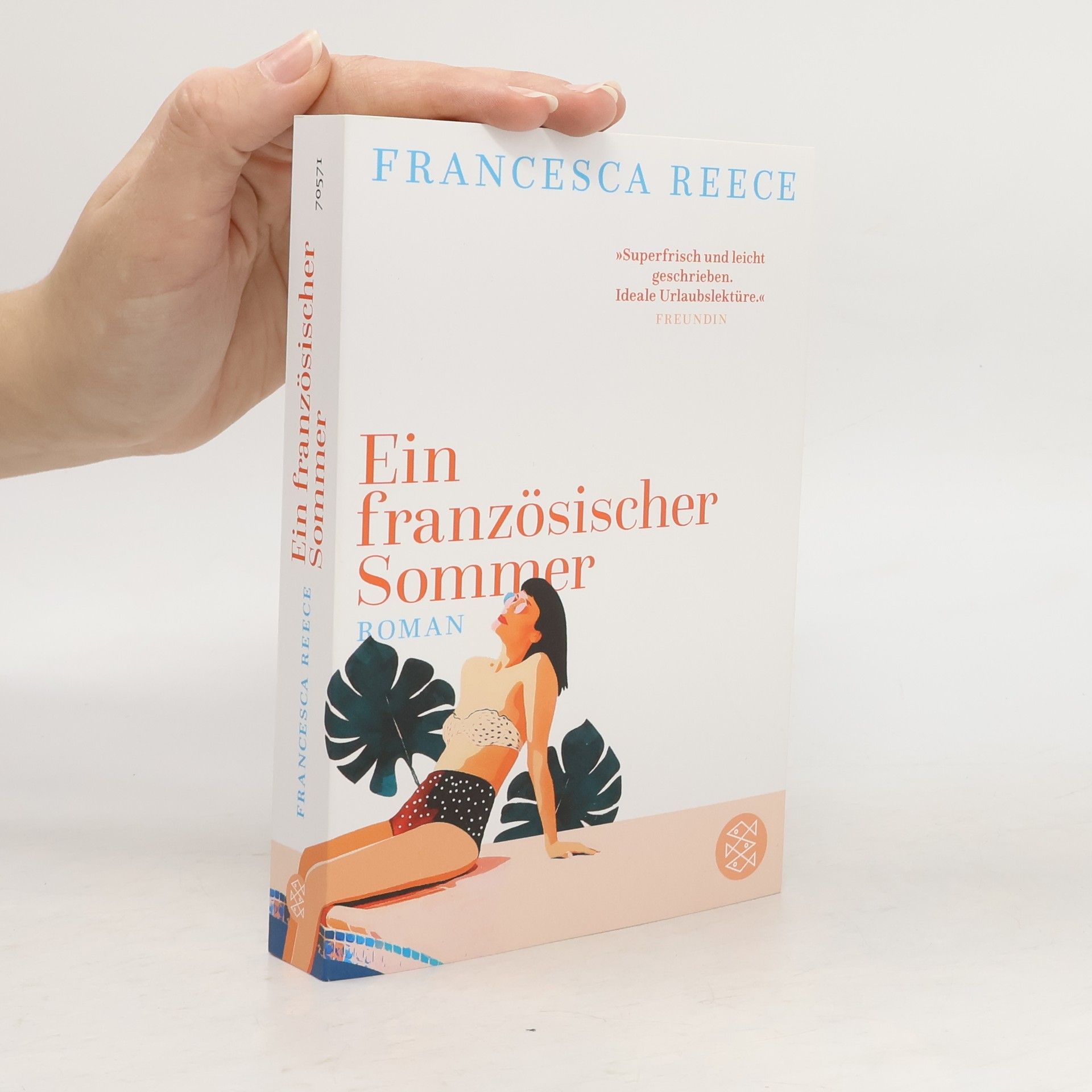 Ein französischer Sommer