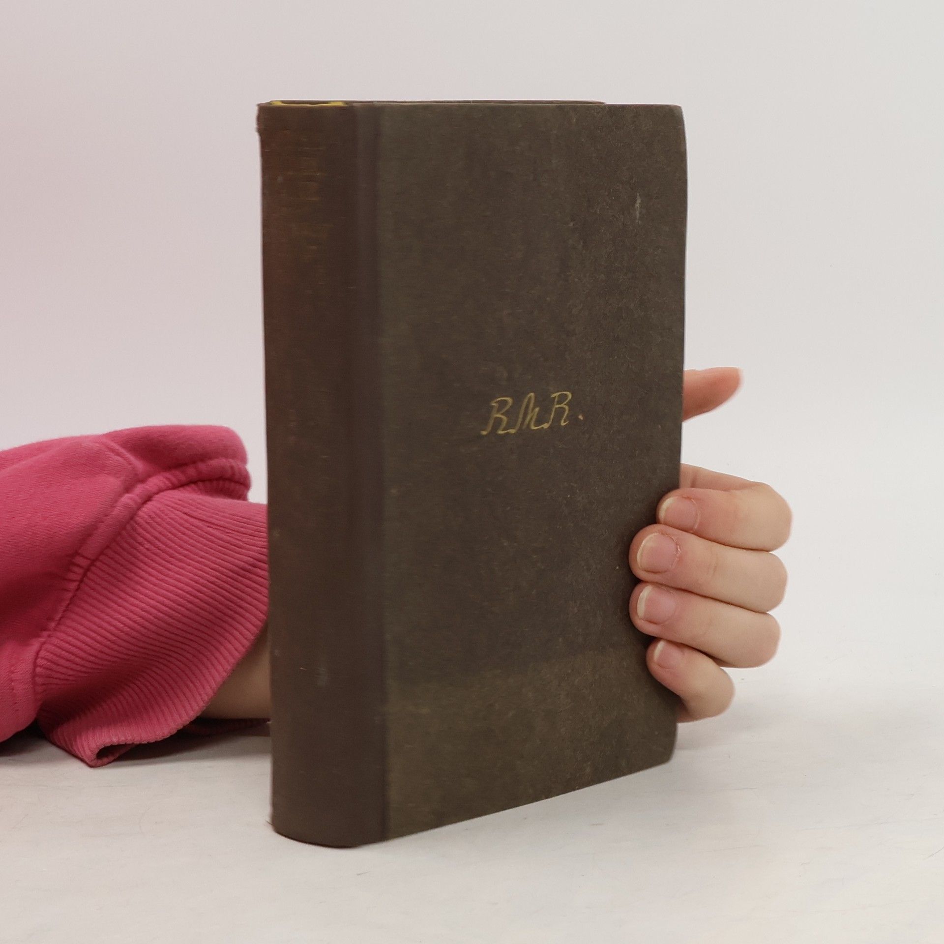 Rainer Maria Rilke Tagebücher aus der Frühzeit