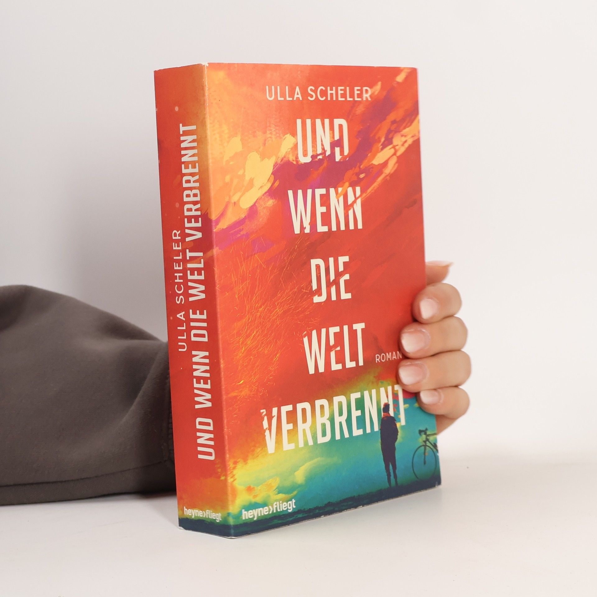 Ulla Scheler Und wenn die Welt verbrennt