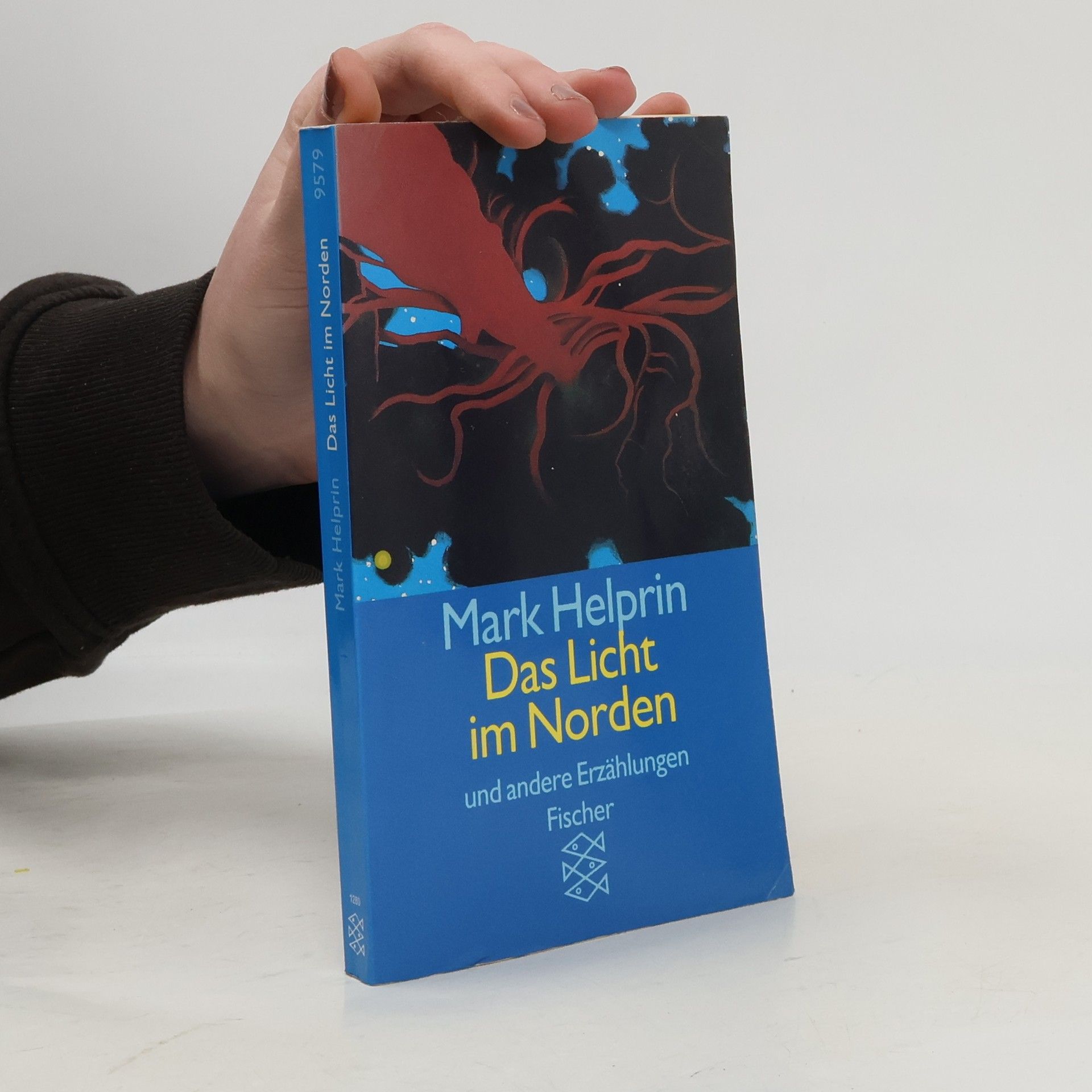 Mark Helprin Das Licht im Norden und andere Erzählungen