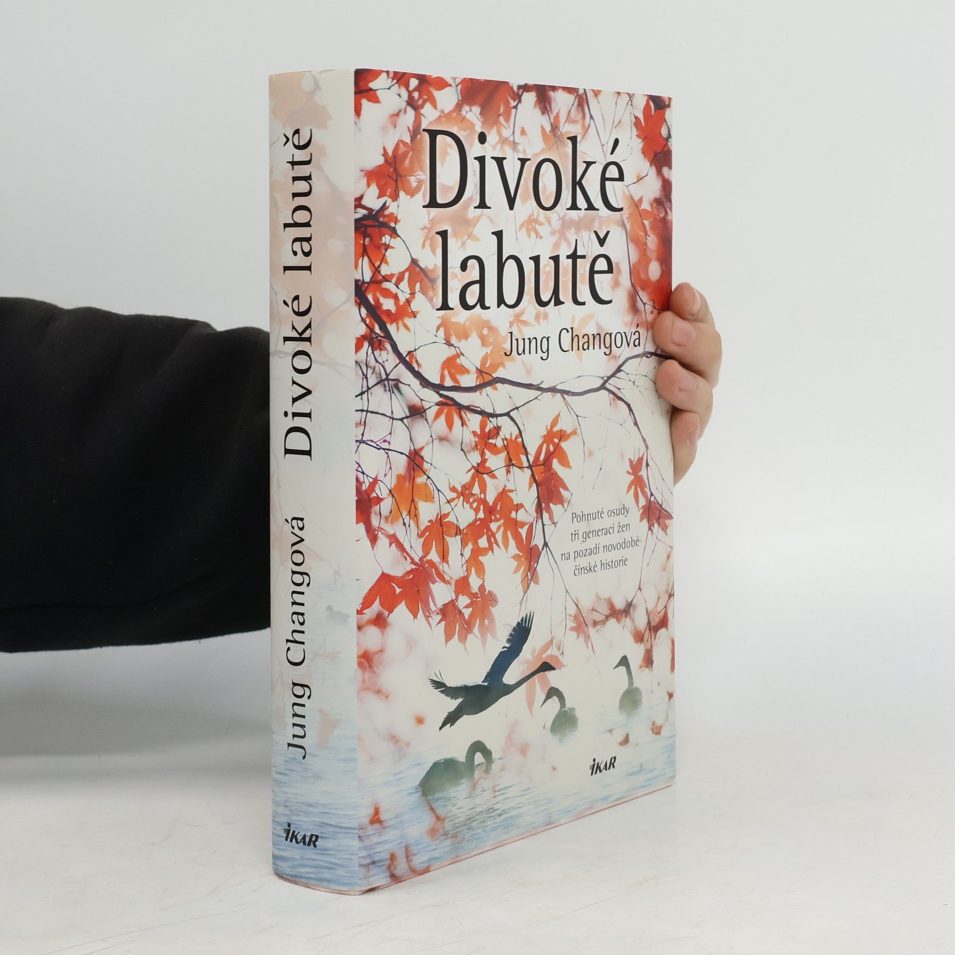 Jung Chang Divoké labutě