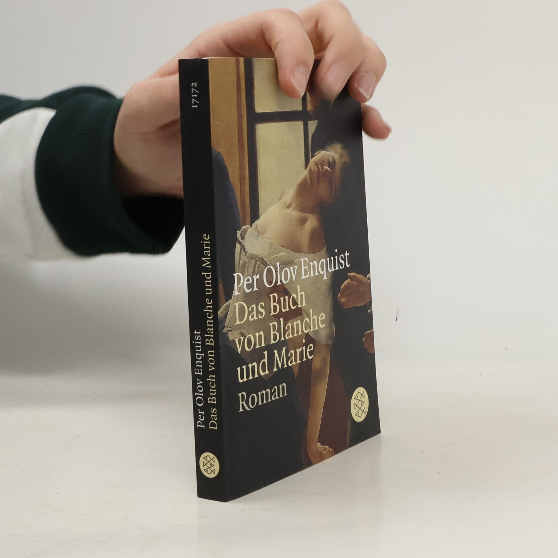 Per Olov Enquist Das Buch von Blanche und Marie