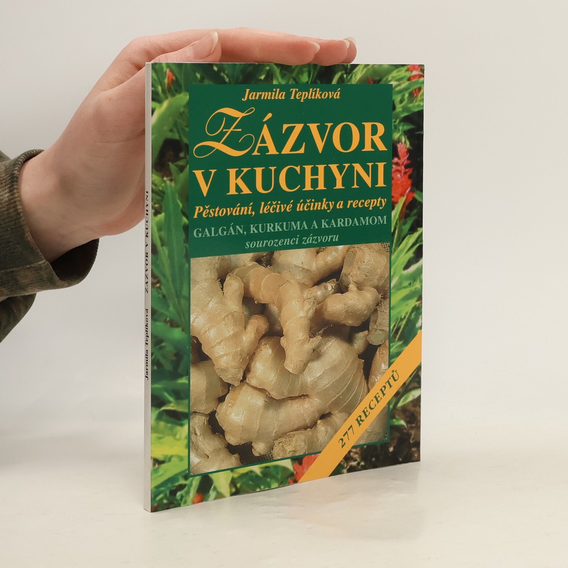 Jarmila Teplíková Zázvor v kuchyni