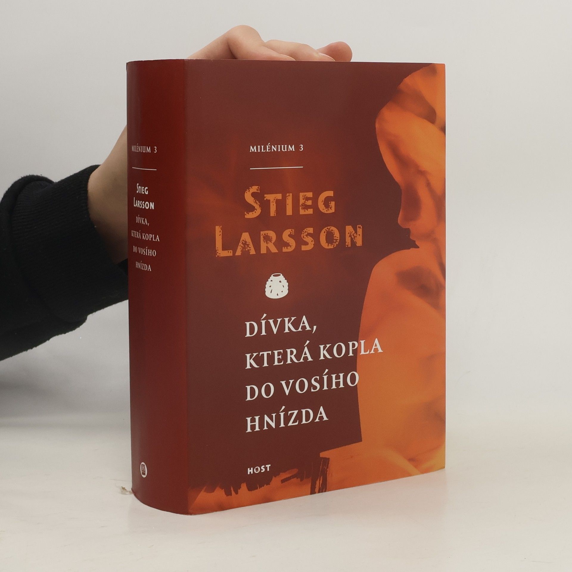 Stieg Larsson Dívka, která kopla do vosího hnízda