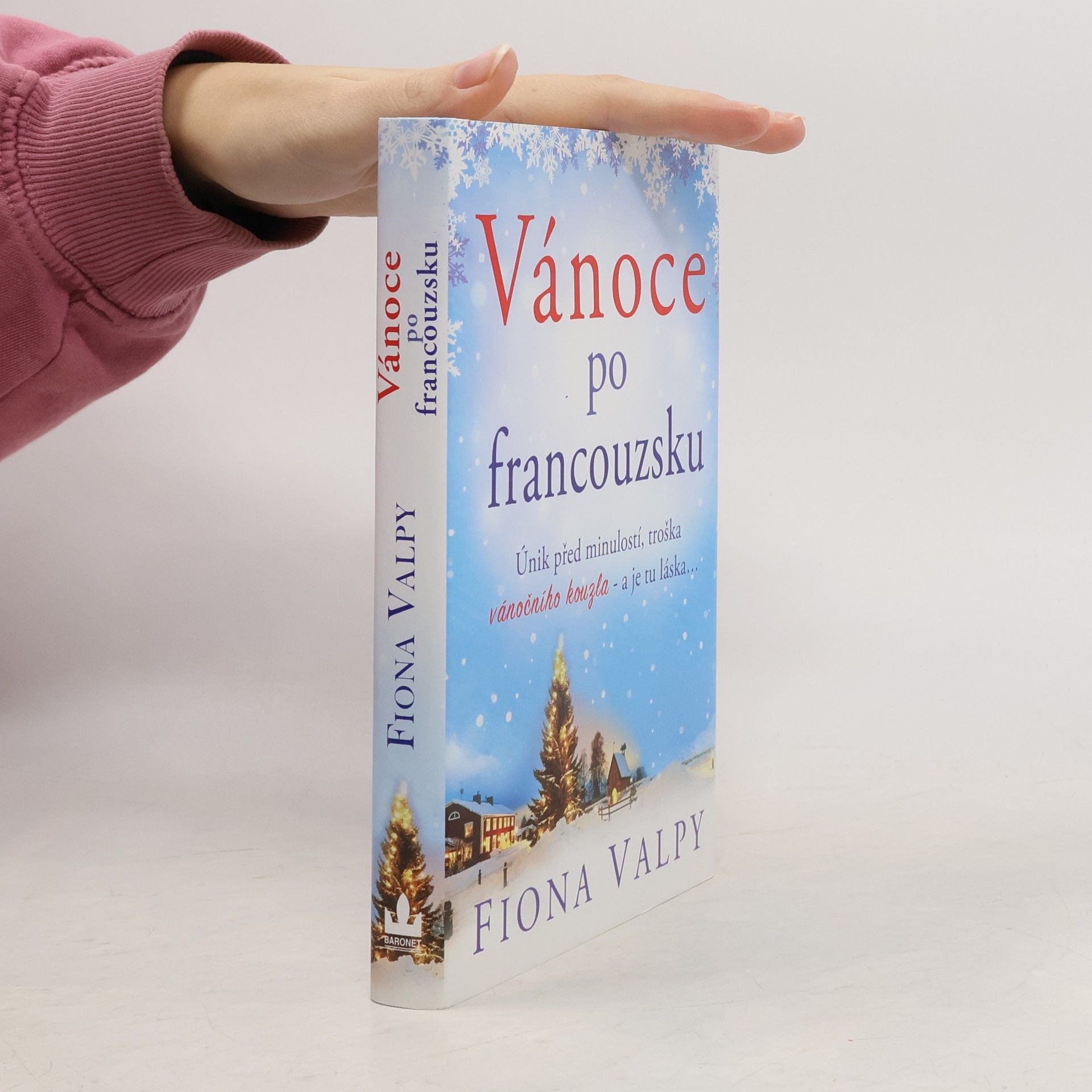 Fiona Valpy Vánoce po francouzsku