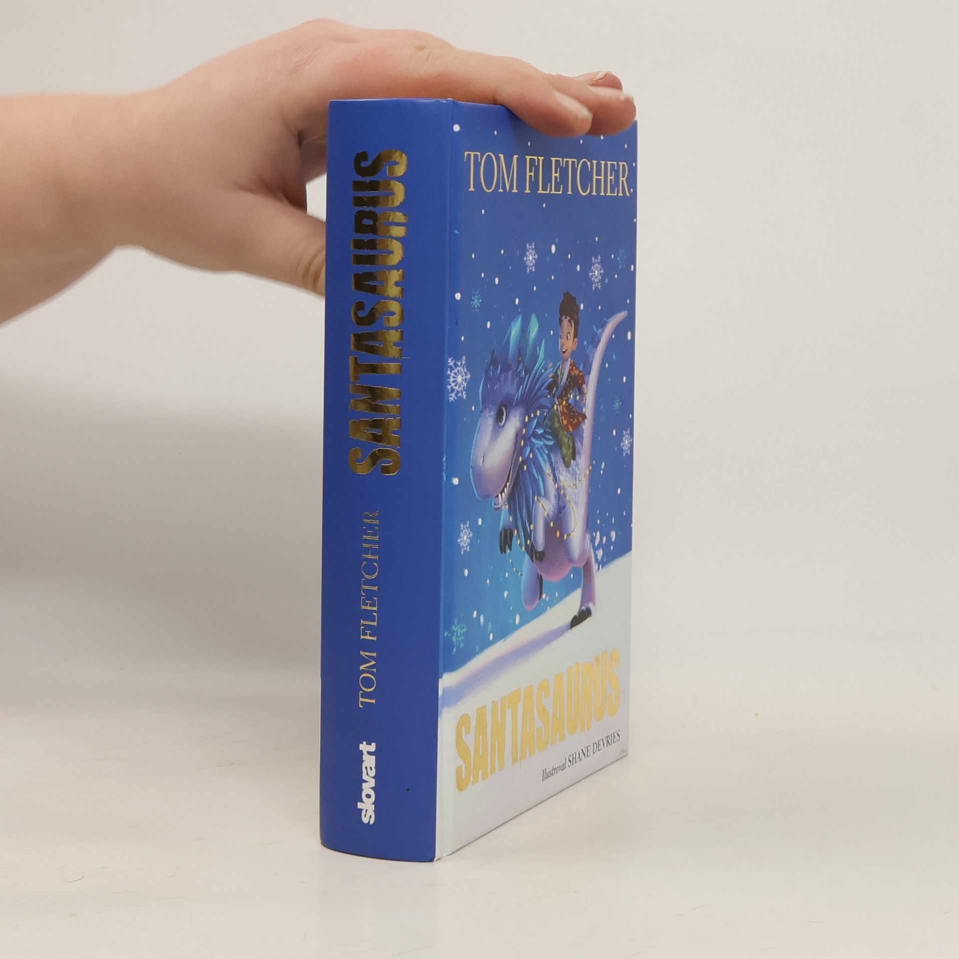 Tom Fletcher Santasaurus