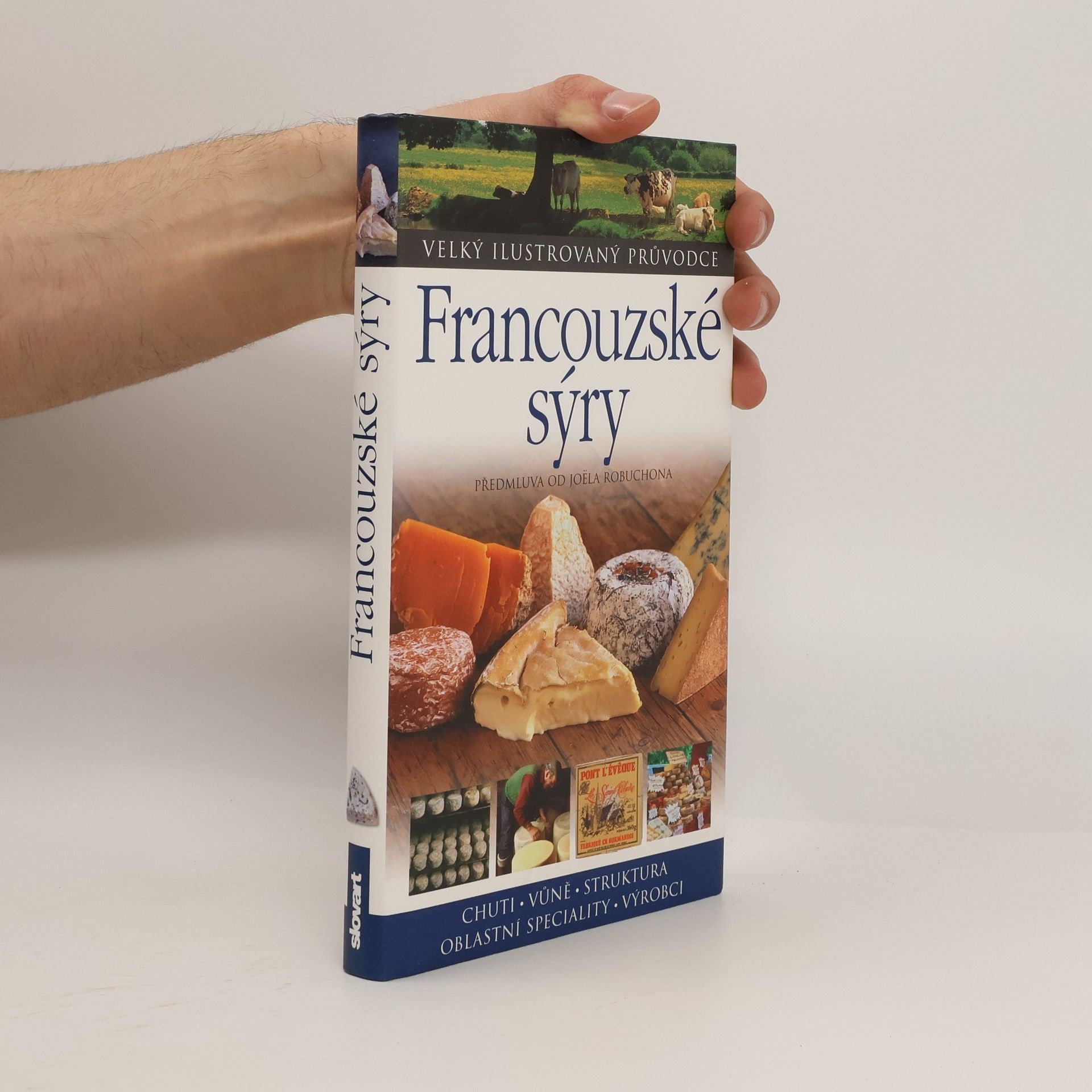 Kazuko Masui Francouzské sýry