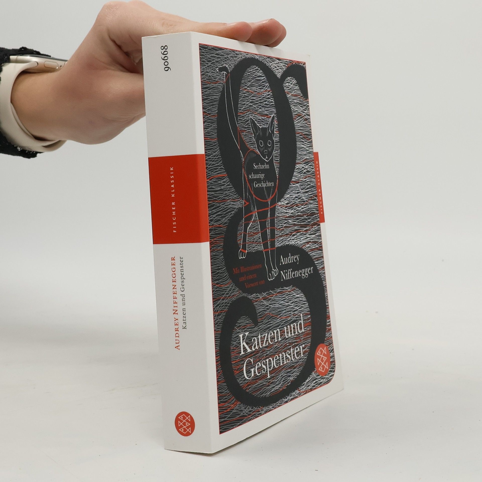 Katzen und Gespenster