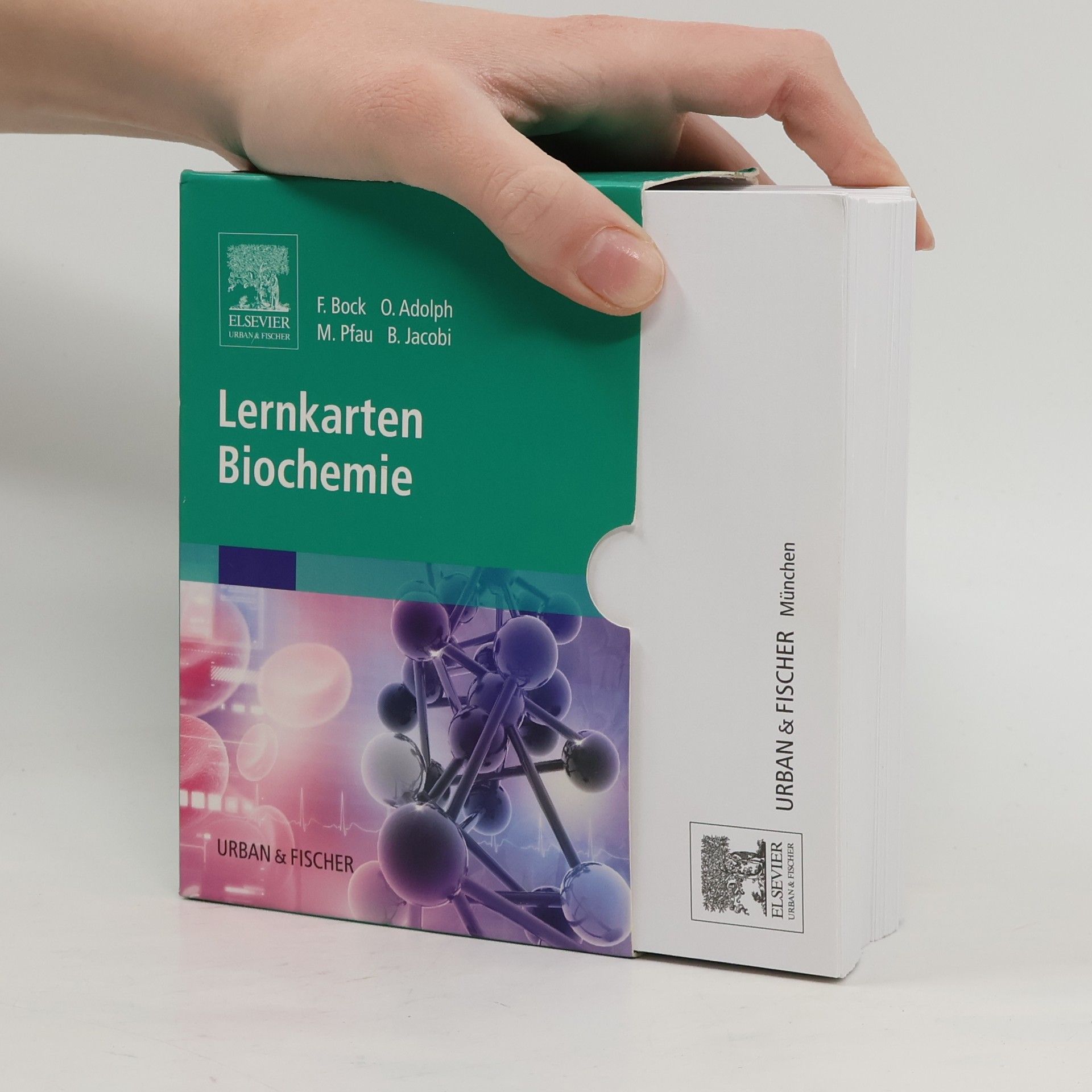 Fabian Bock Lernkarten Biochemie