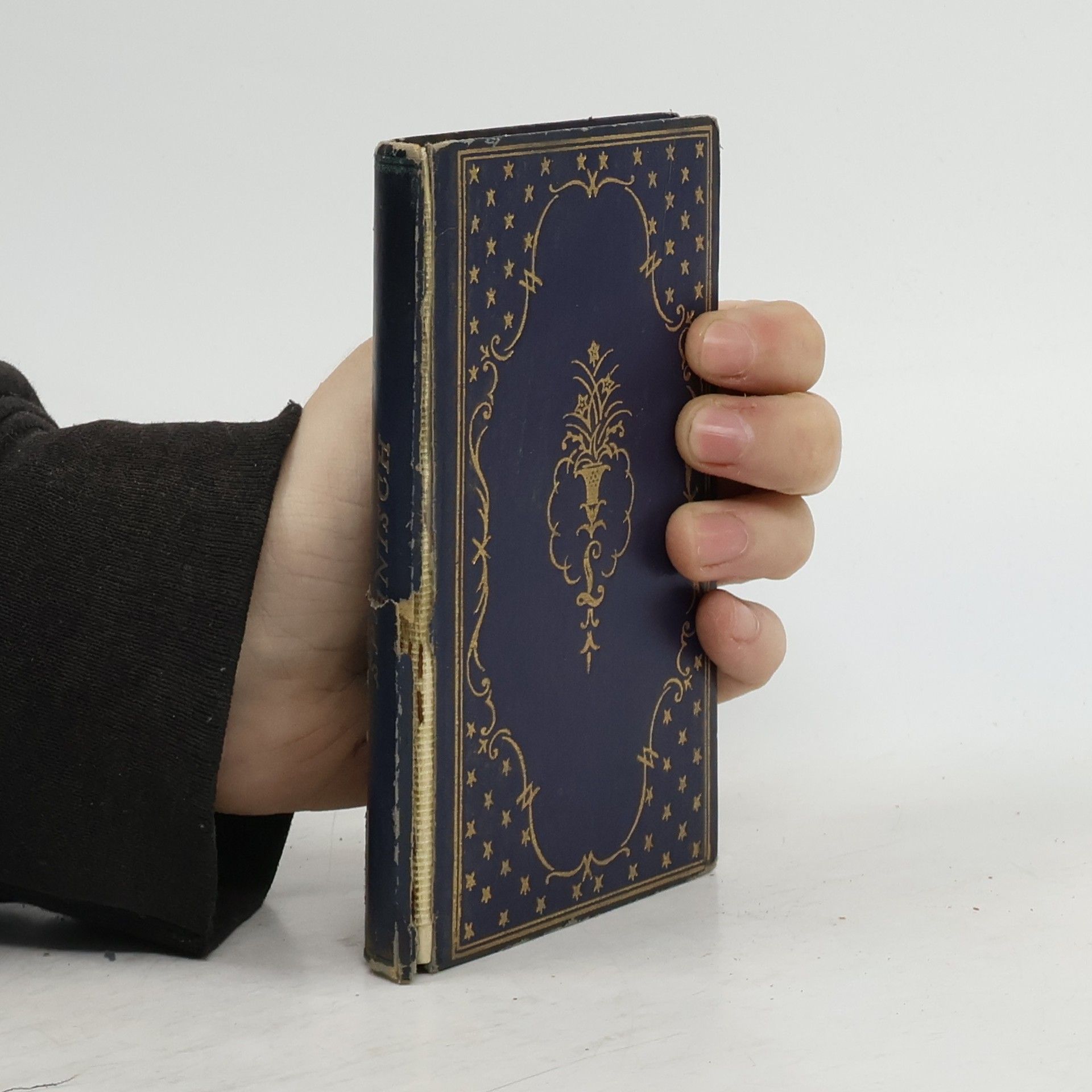 Autorenkollektiv Metoula Sprachführer. Spanisch