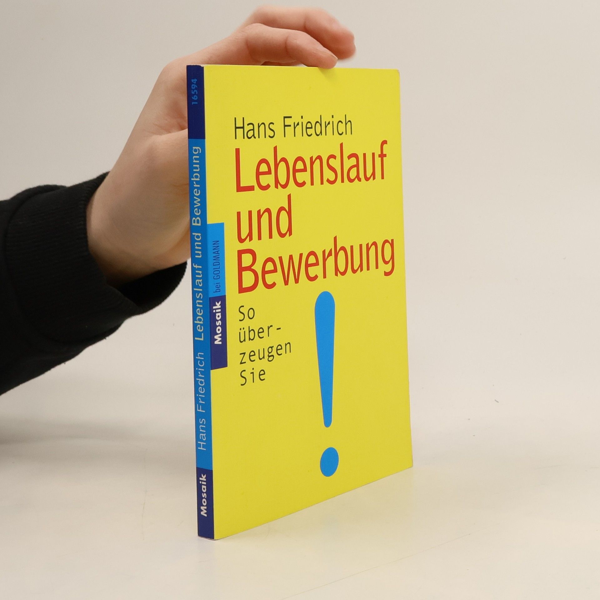 Hans-Friedrich Stumpf Mosaik: Lebenslauf und Bewerbung