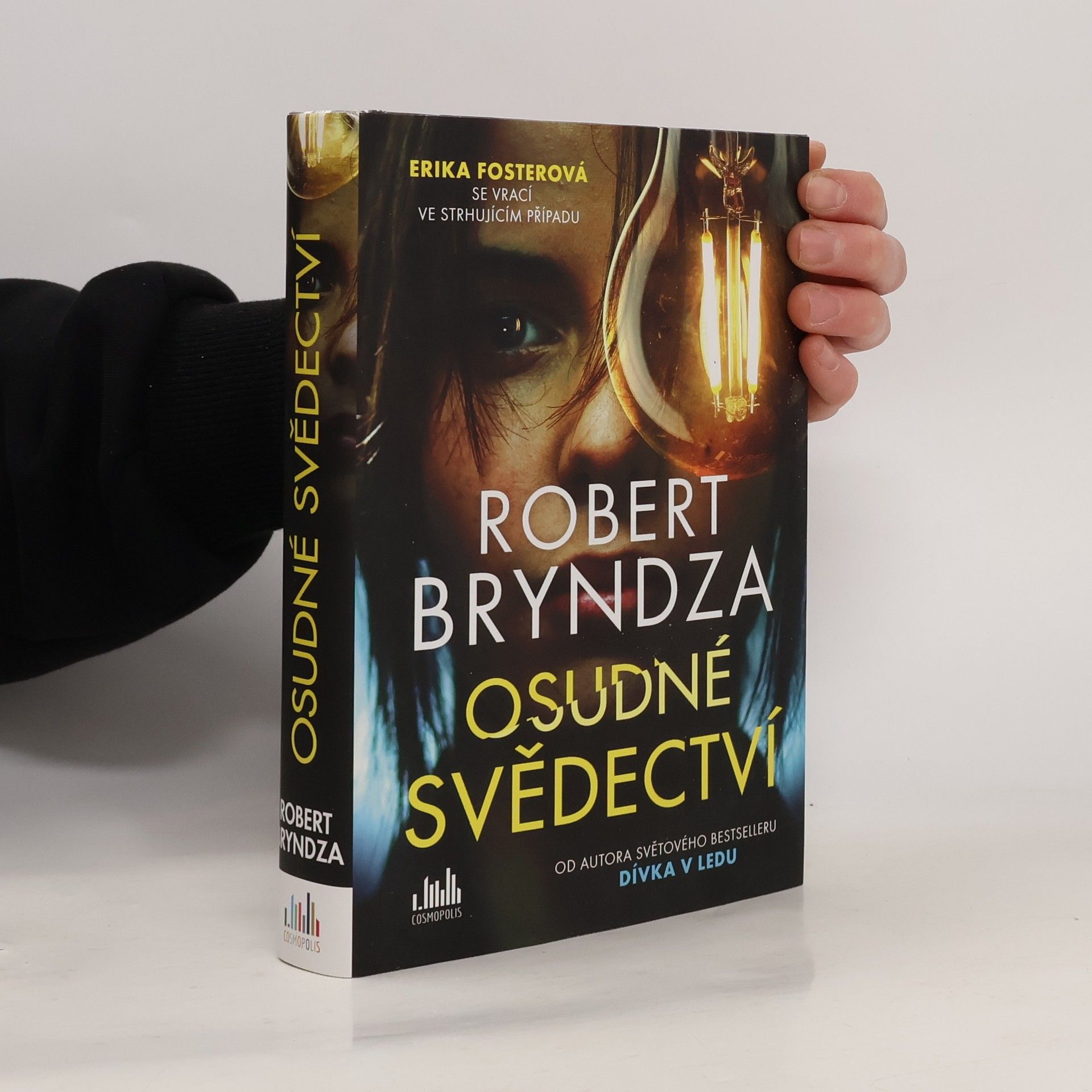Robert Bryndza Osudné svědectví