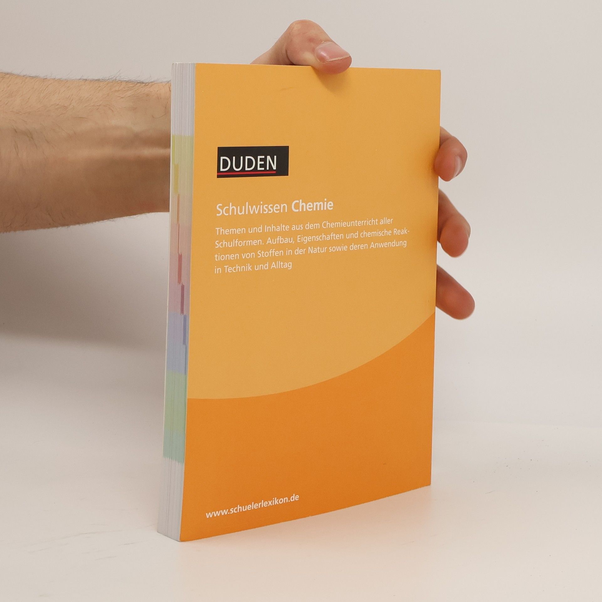 Anne-Cathrin Friedrich Duden, Schulwissen Englisch