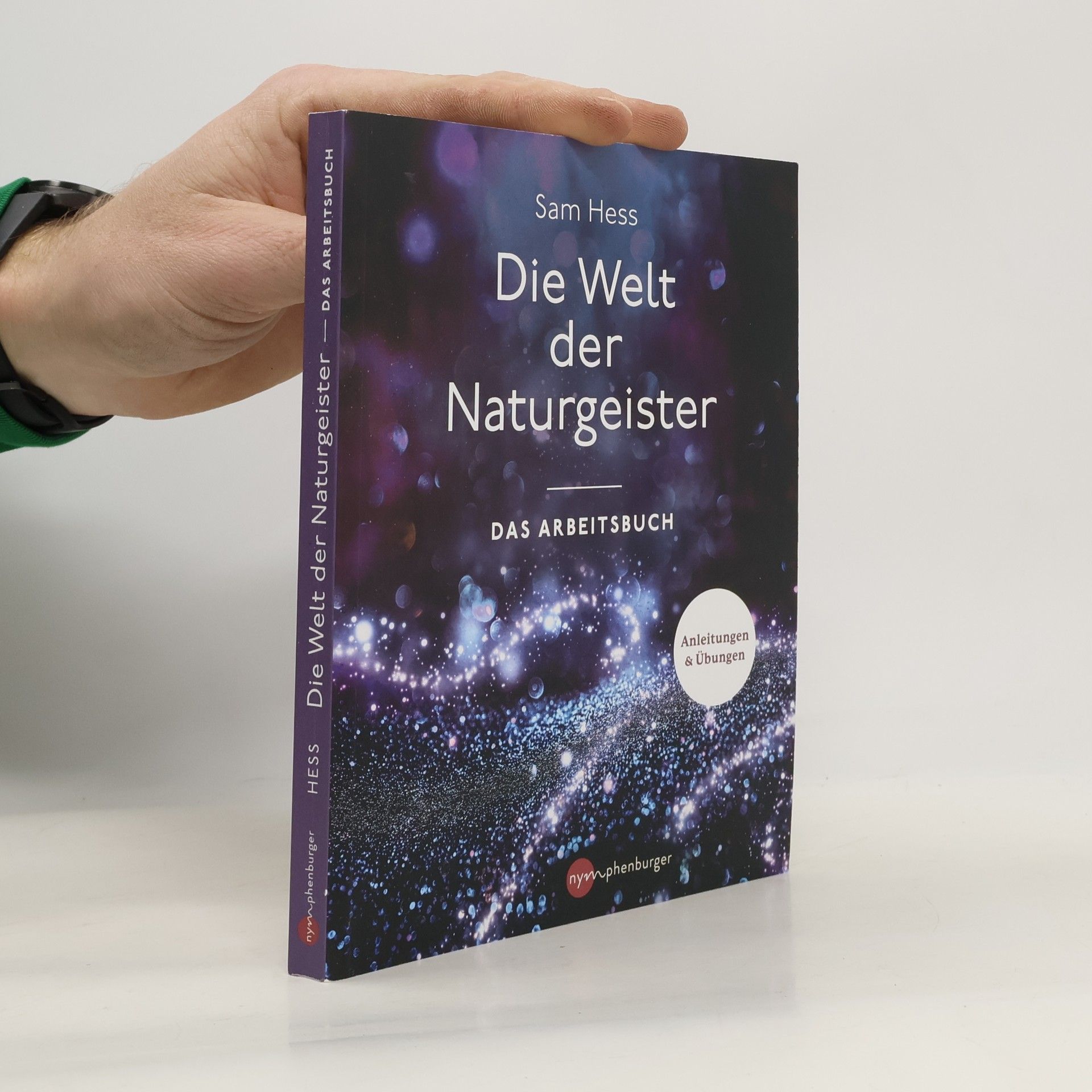 Die Welt der Naturgeister. Das Arbeitsbuch
