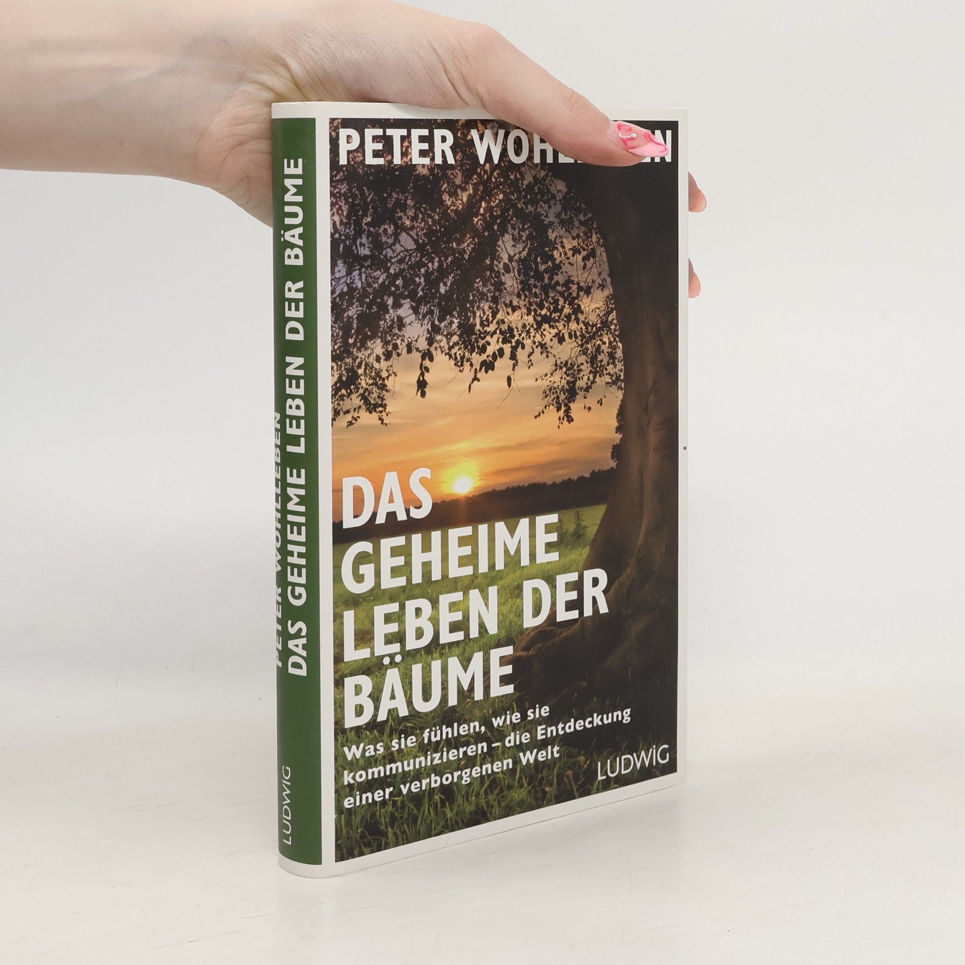Peter Wohlleben Das geheime Leben der Bäume