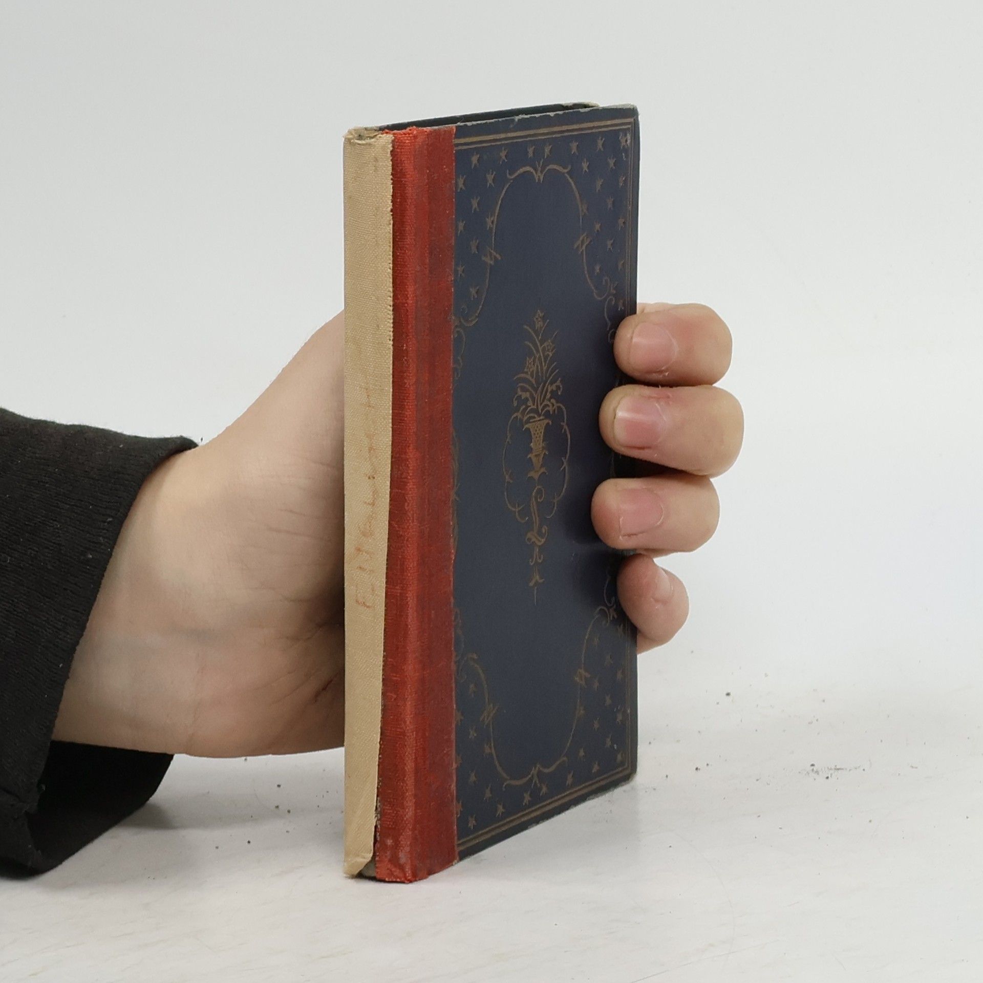 Metoula Sprachführer. Englisch