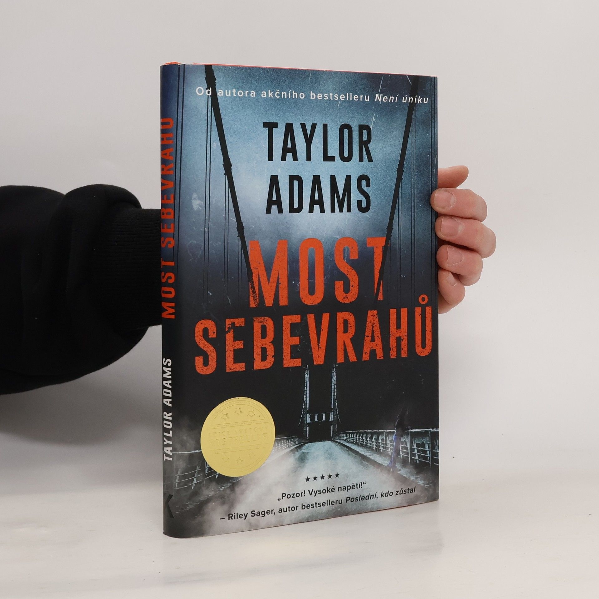 Taylor Adams Most sebevrahů