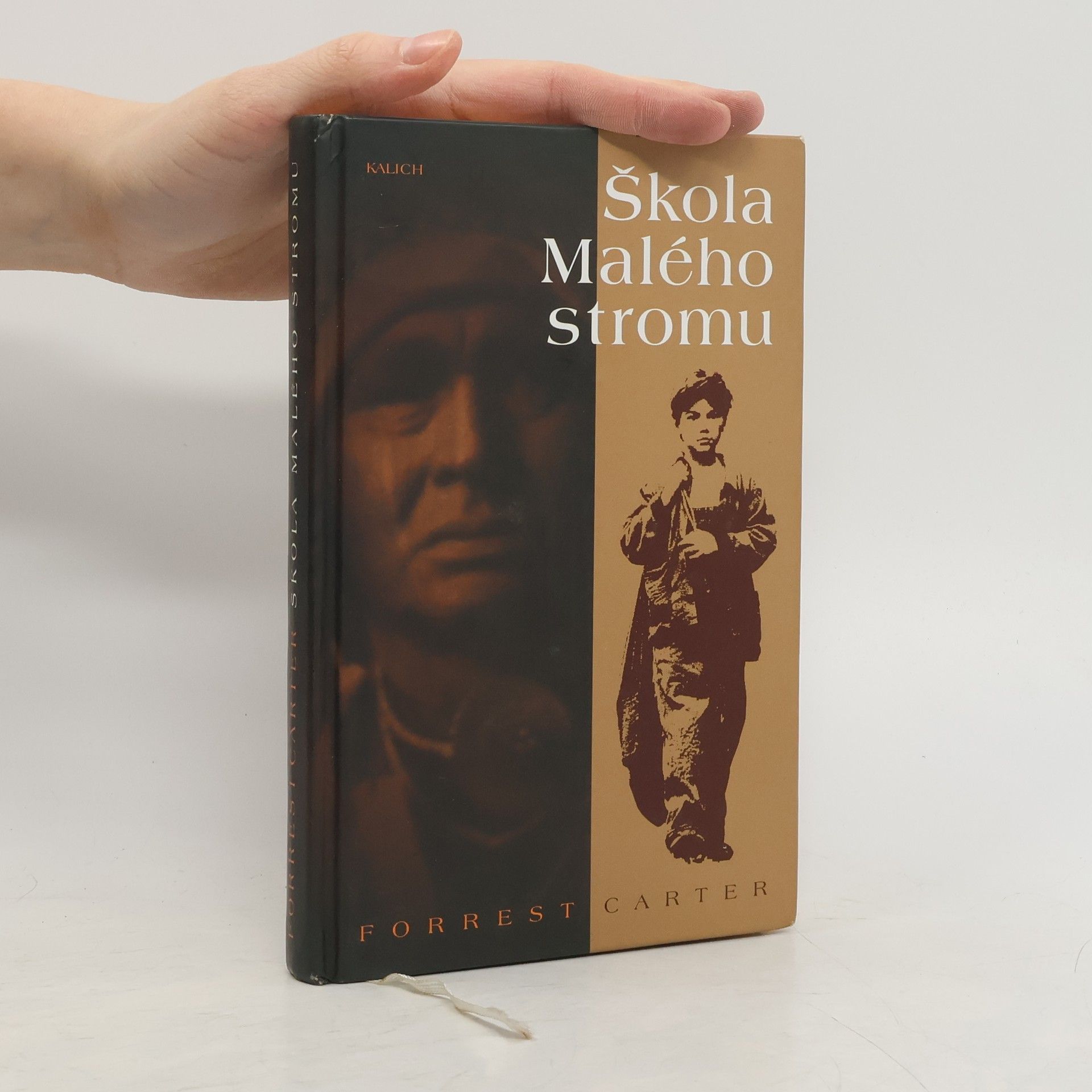 Forrest Carter Škola Malého stromu