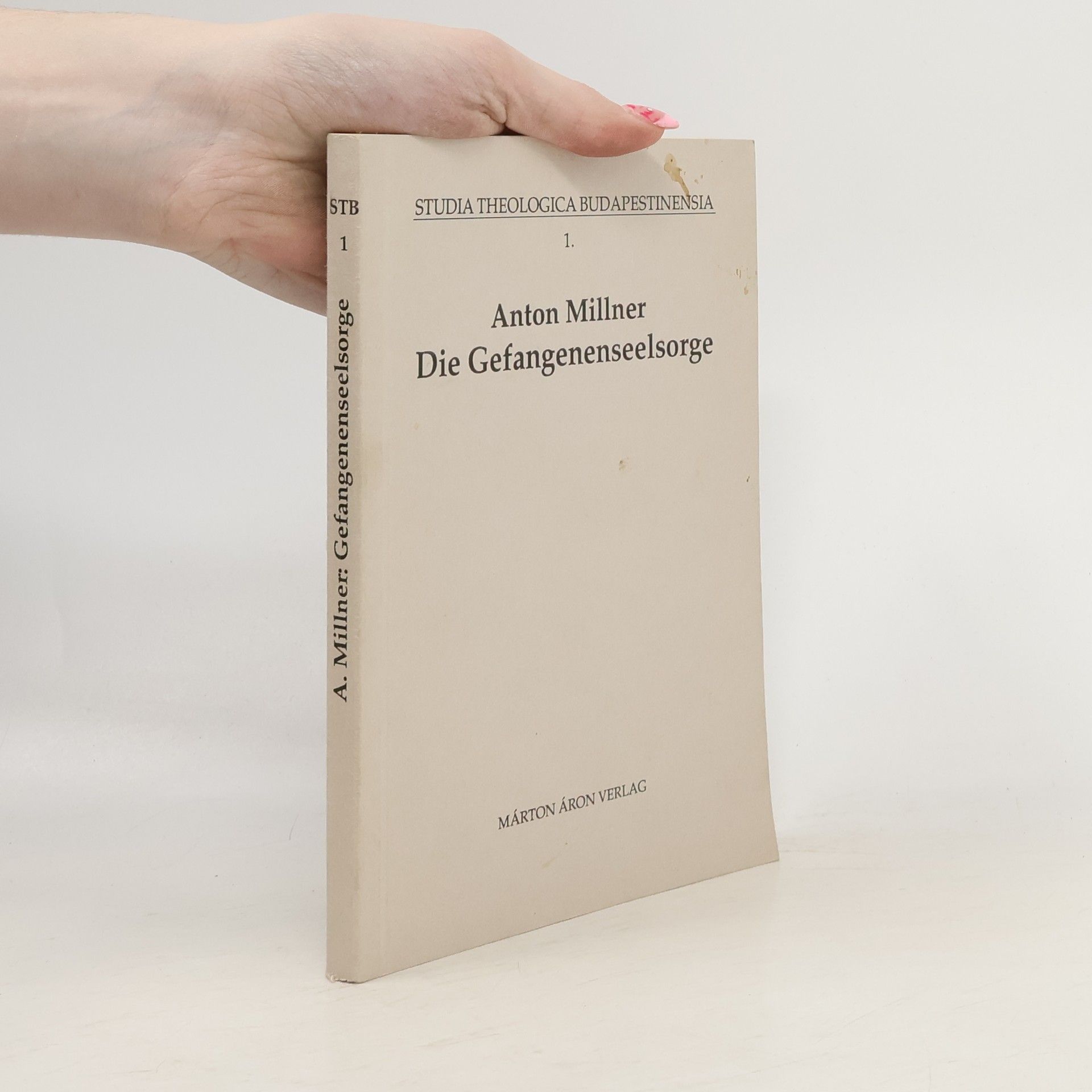 Studia Theologica Budapestinensia - 1: Die Gefangenenseelsorge im staatlichen und kirchlichen Recht