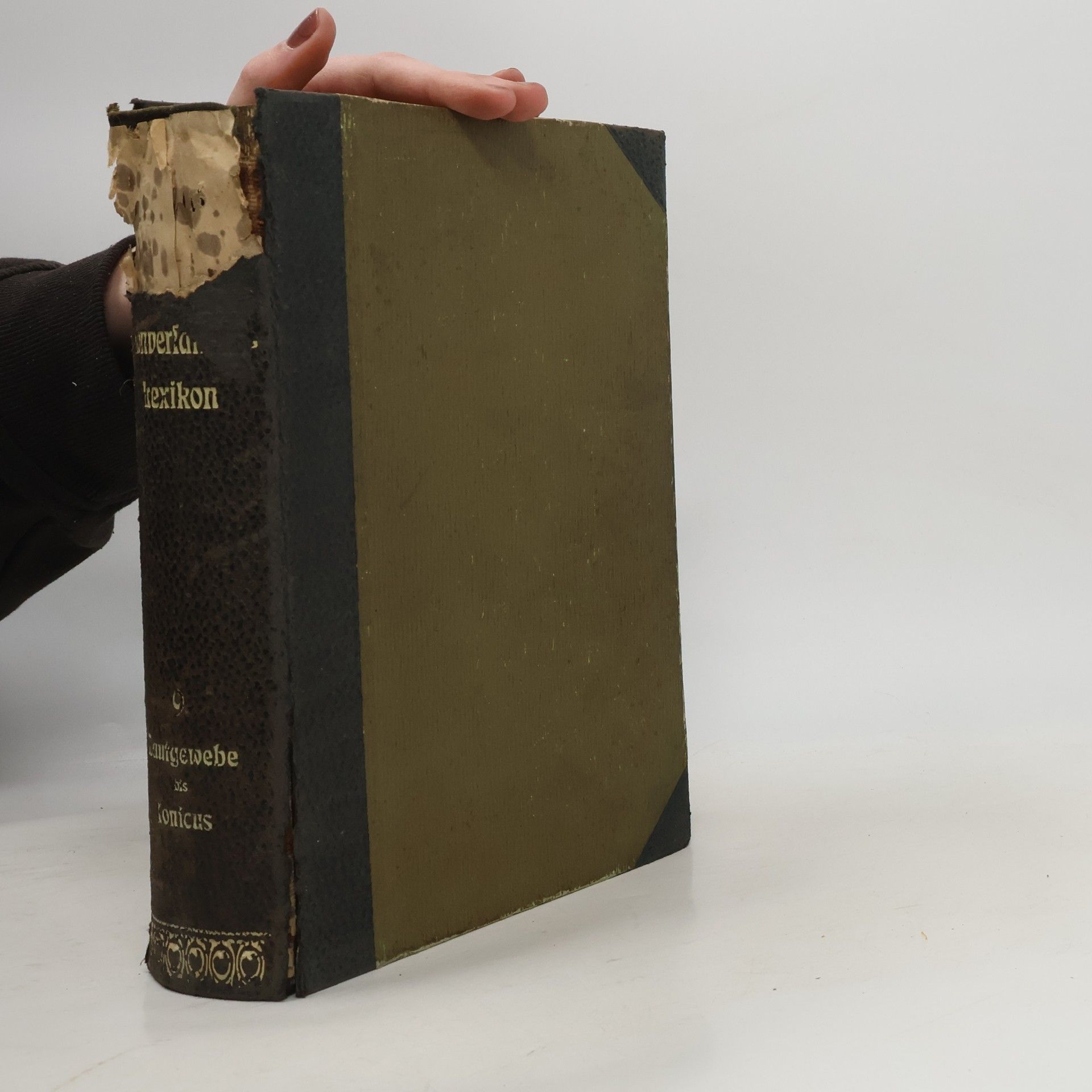 Autorenkollektiv Meyers Großes Konversations-Lexikon 9