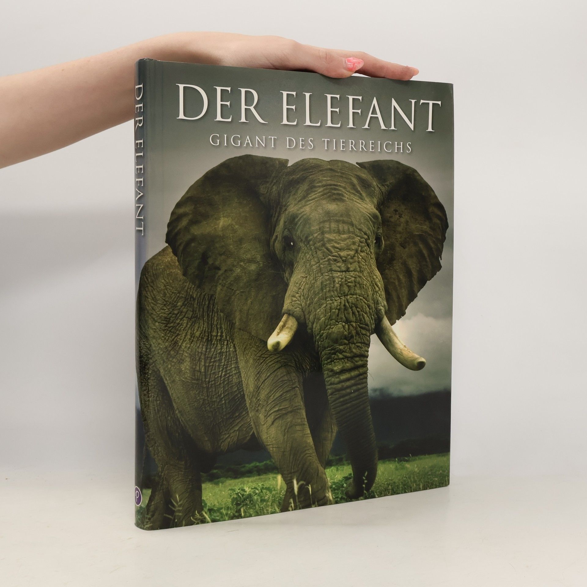 Gill Davies Der Elefant