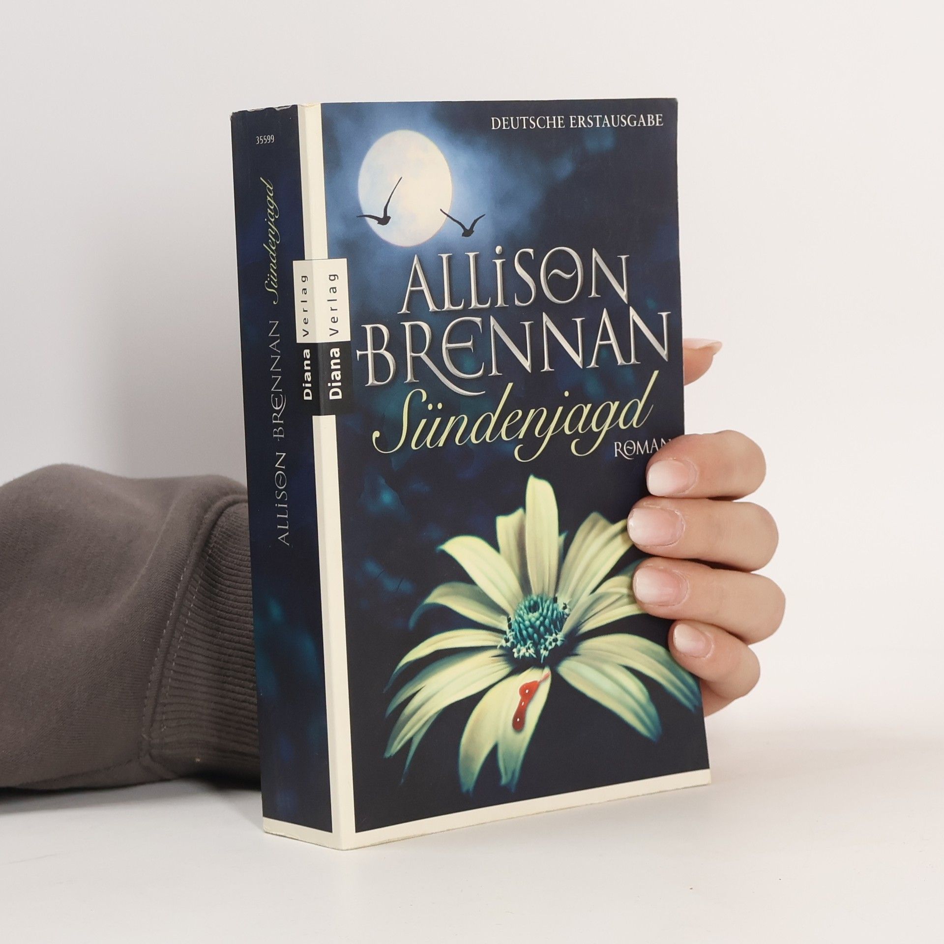 Allison Brennan Sündenjagd