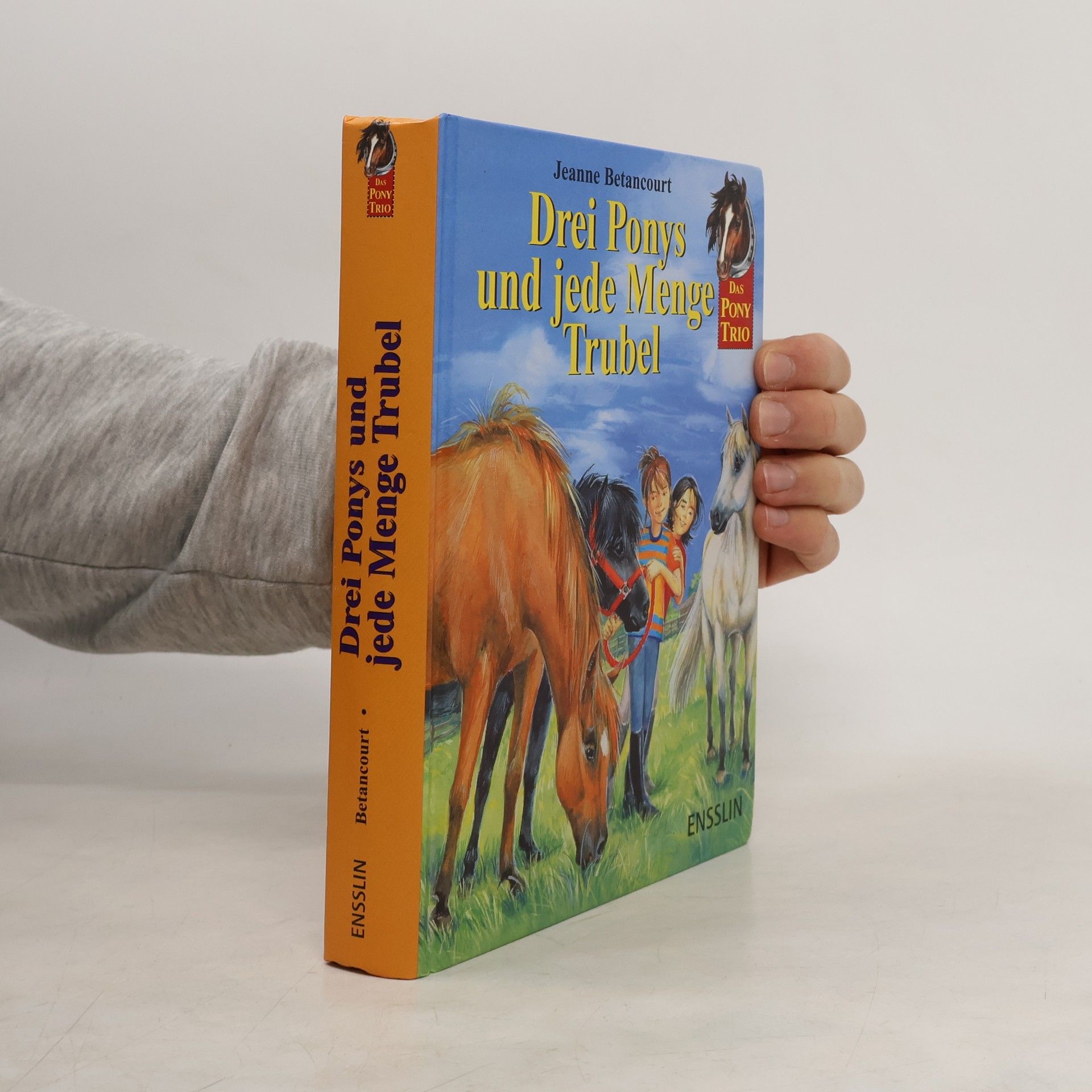 Drei Ponys und jede Menge Trubel