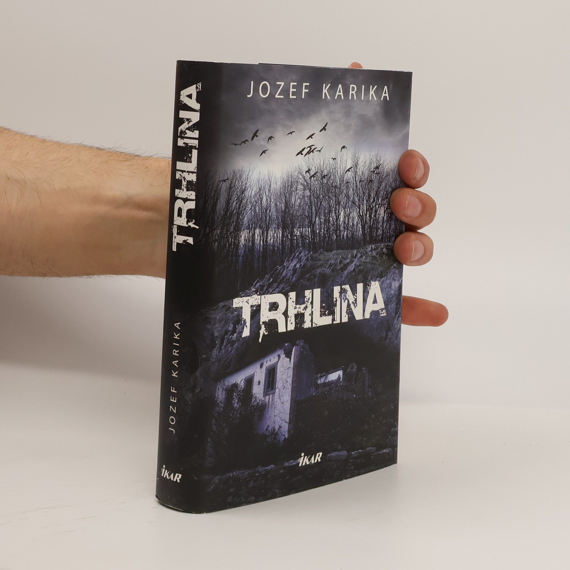 Jozef Karika Trhlina