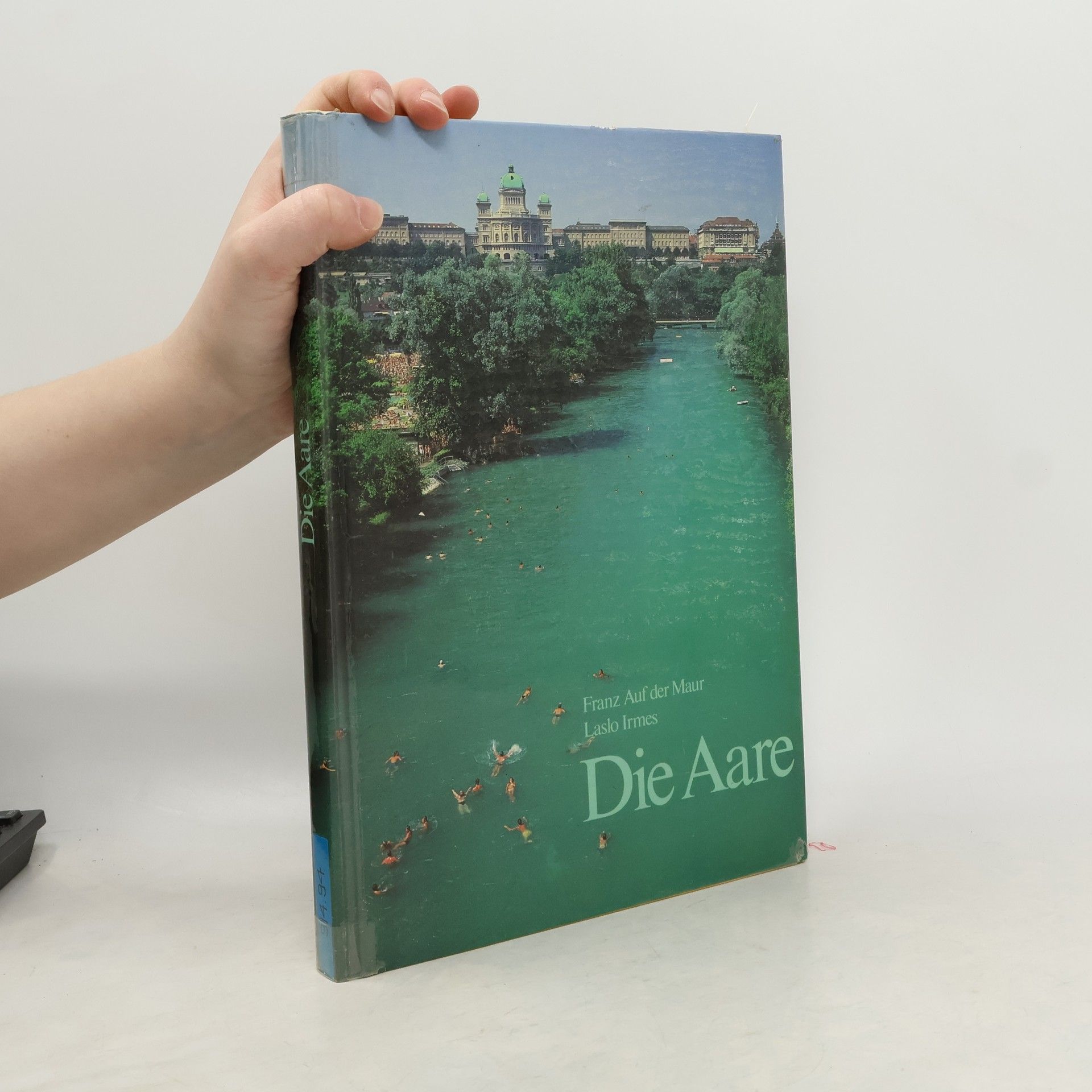 Laslo Irmes Die Aare