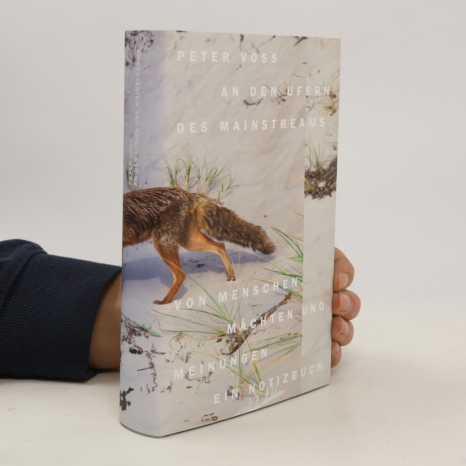 An den Ufern des Mainstreams