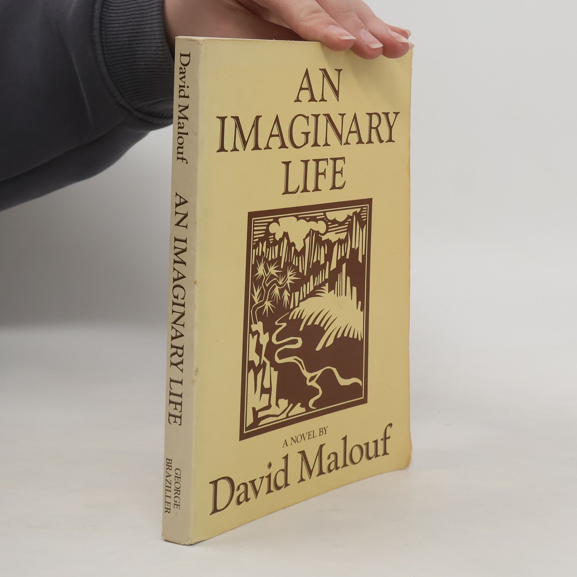 An Imaginary Life