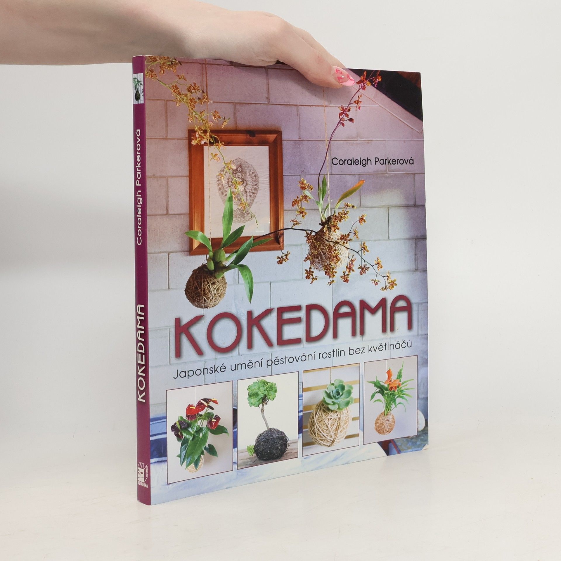 Coraleigh Parker Kokedama - Japonské umění pěstování rostlin bez květináčů