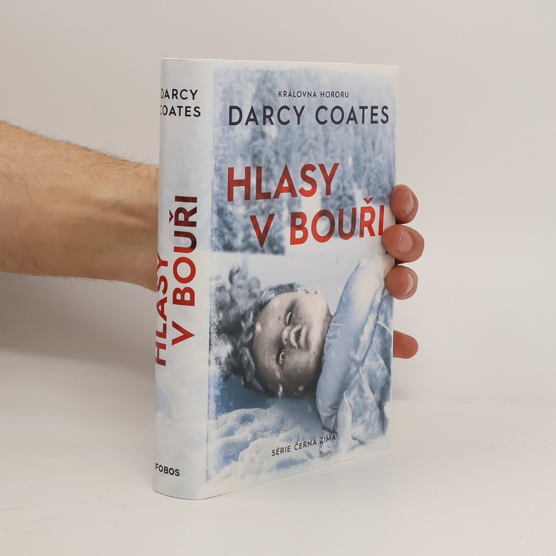 Darcy Coates Hlasy v bouři
