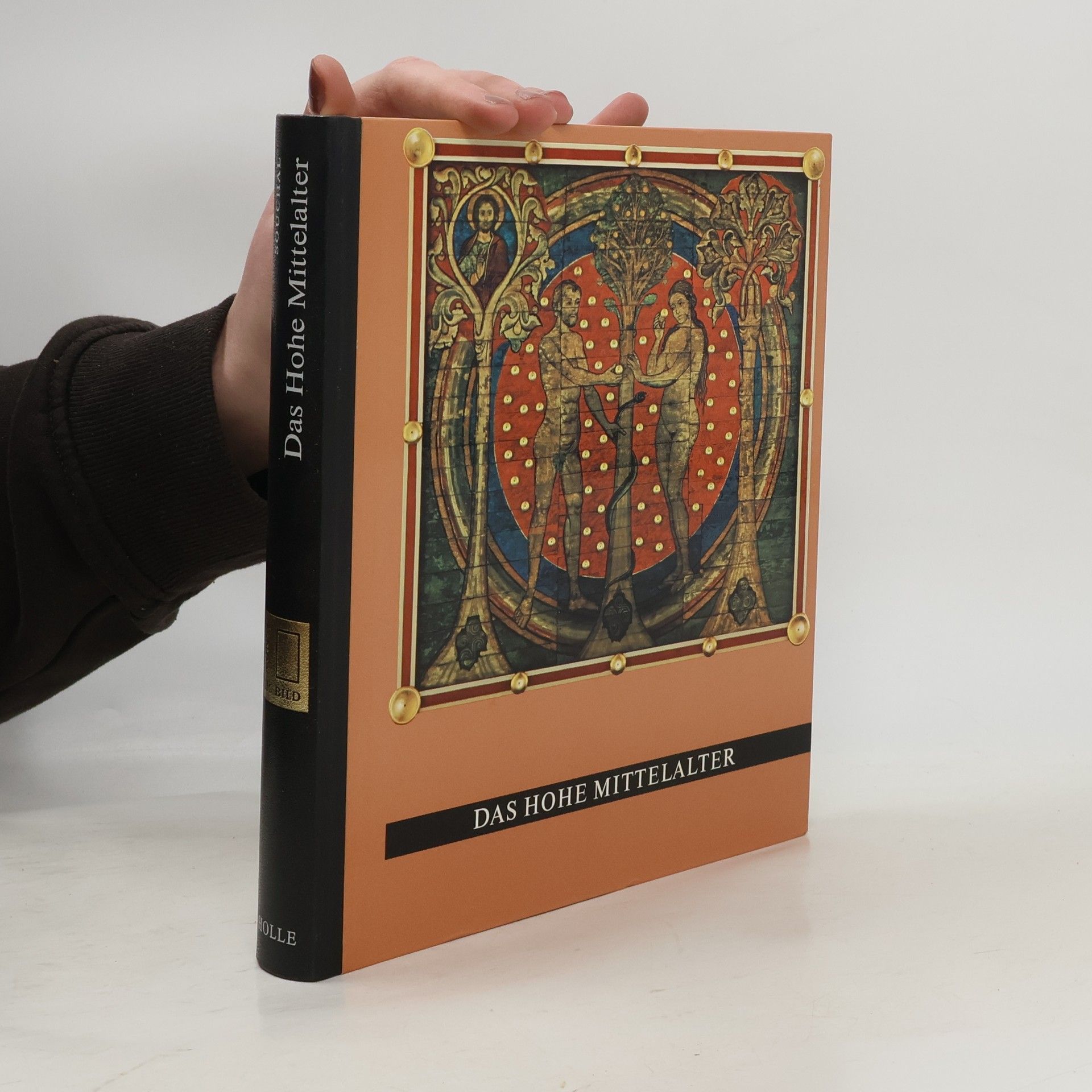 François Souchal Kunst im Bild. Das Hohe Mittelalter