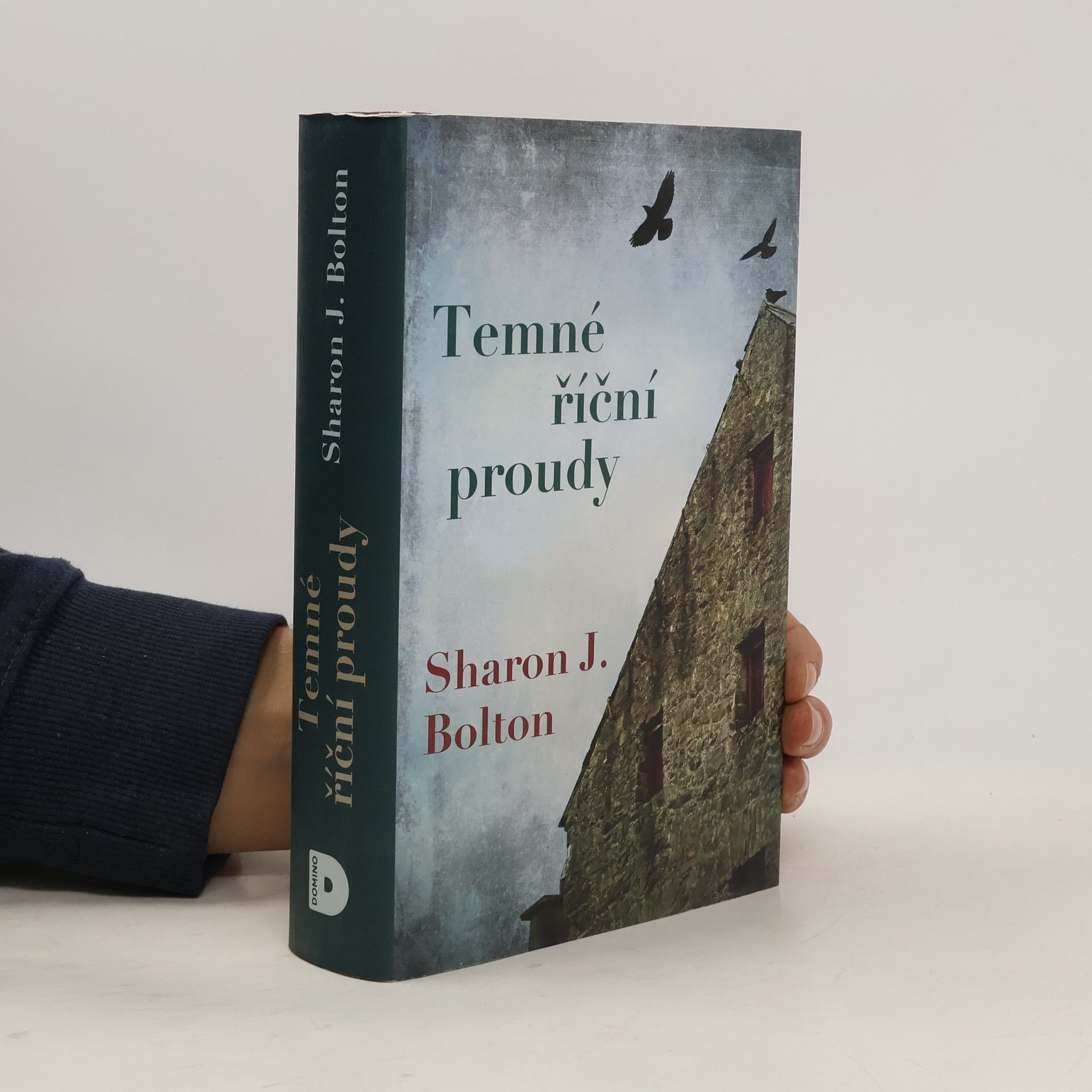 S. J. Bolton Temné říční proudy