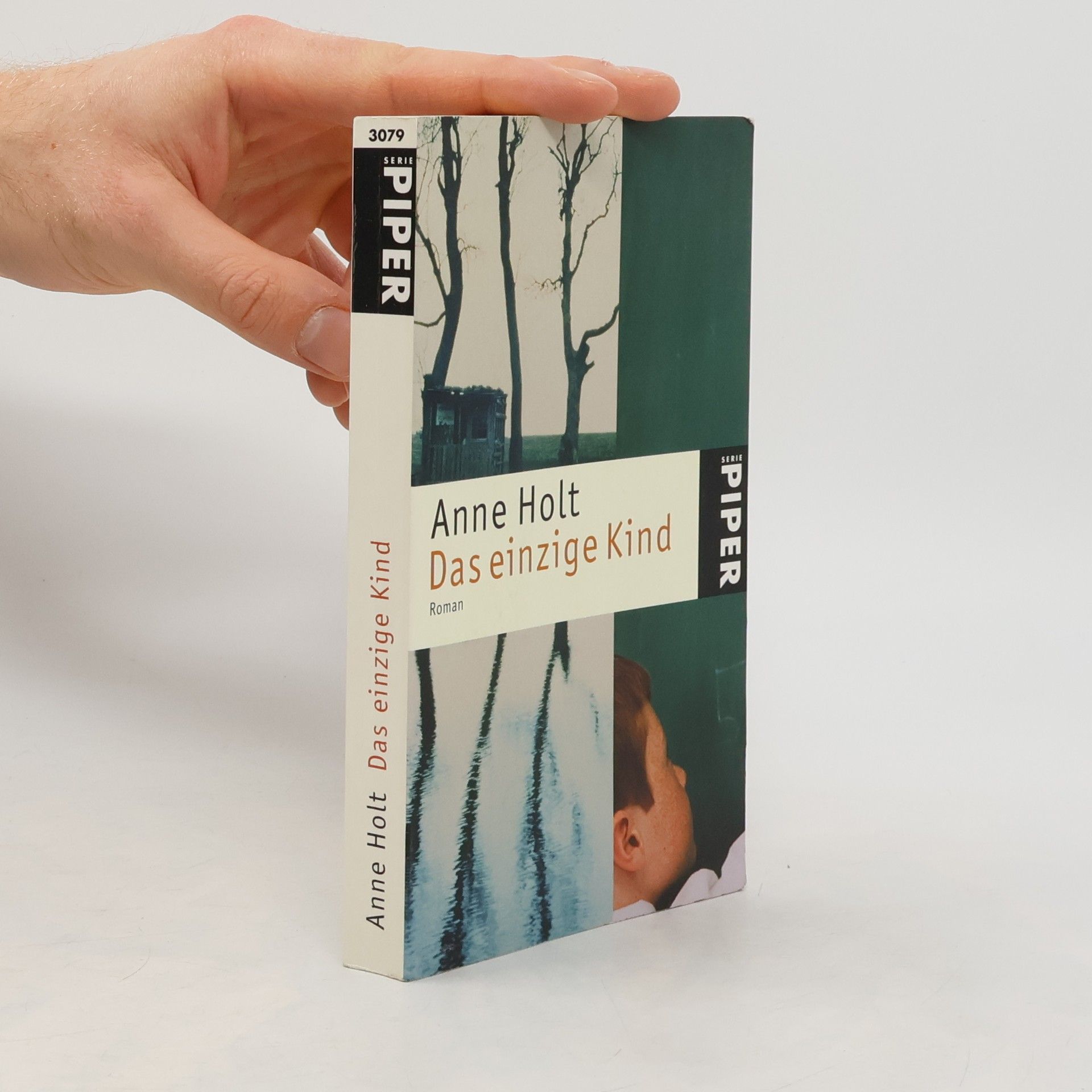 Anne Holt Das einzige Kind