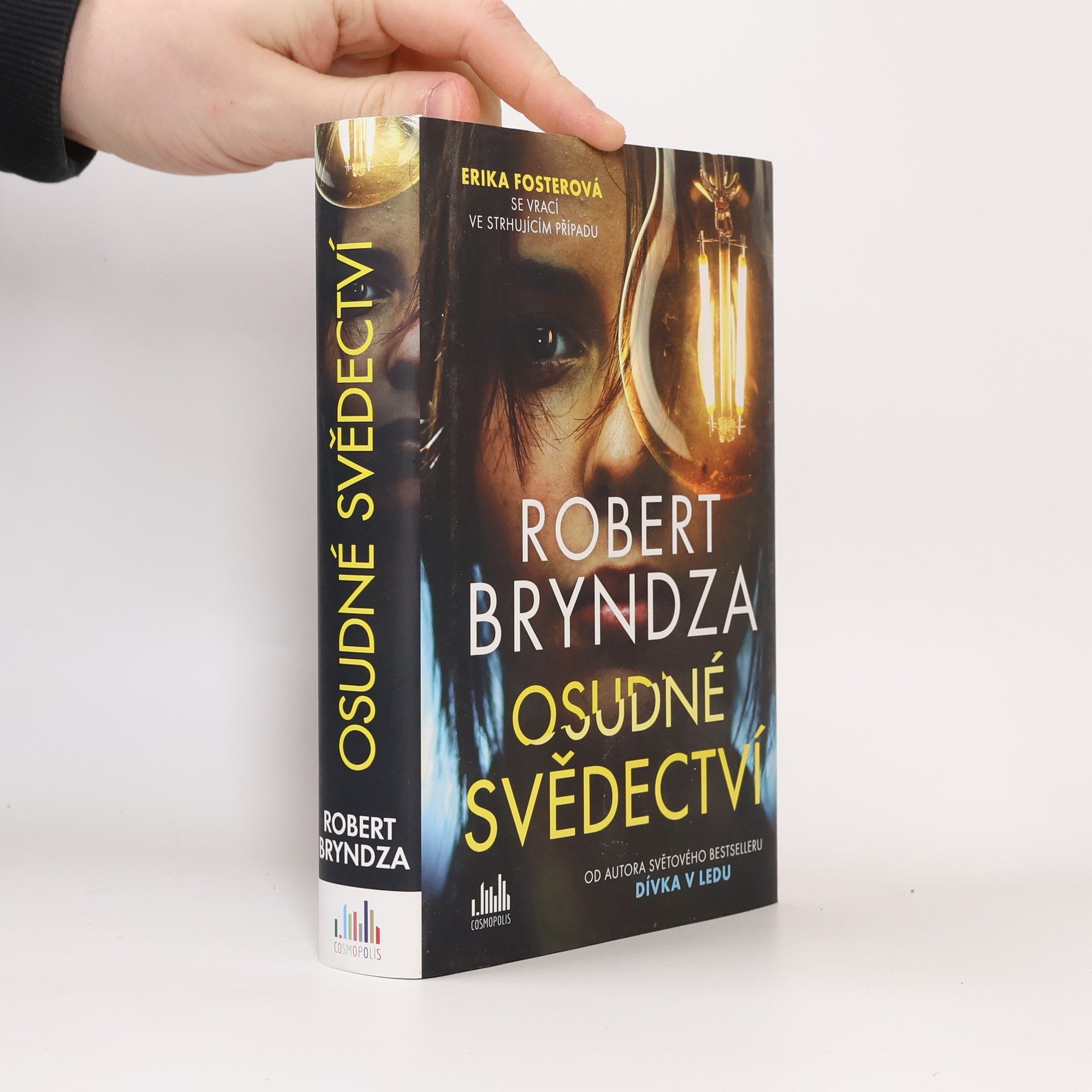 Robert Bryndza Osudné svědectví