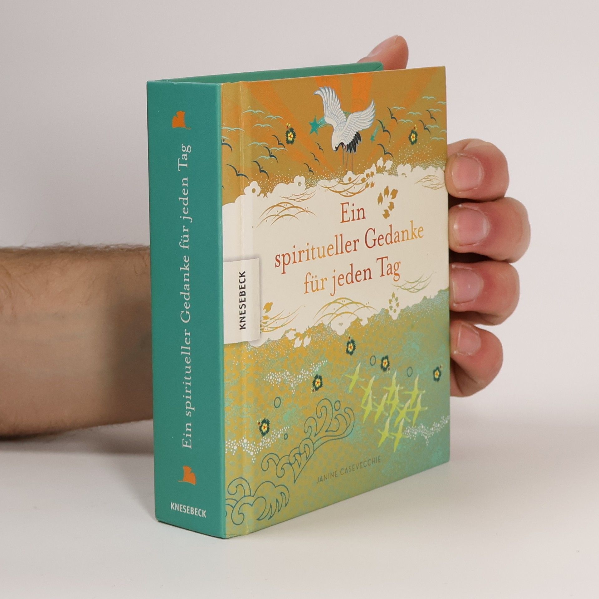 Janine Casevecchie Ein spiritueller Gedanke für jeden Tag