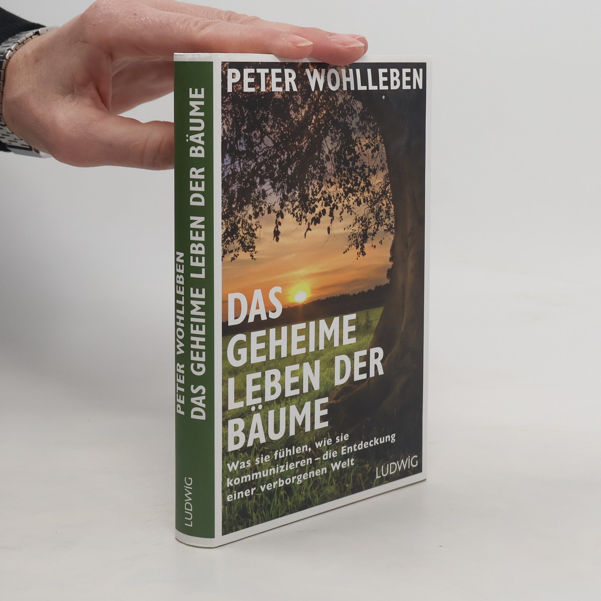 Peter Wohlleben Das geheime Leben der Bäume