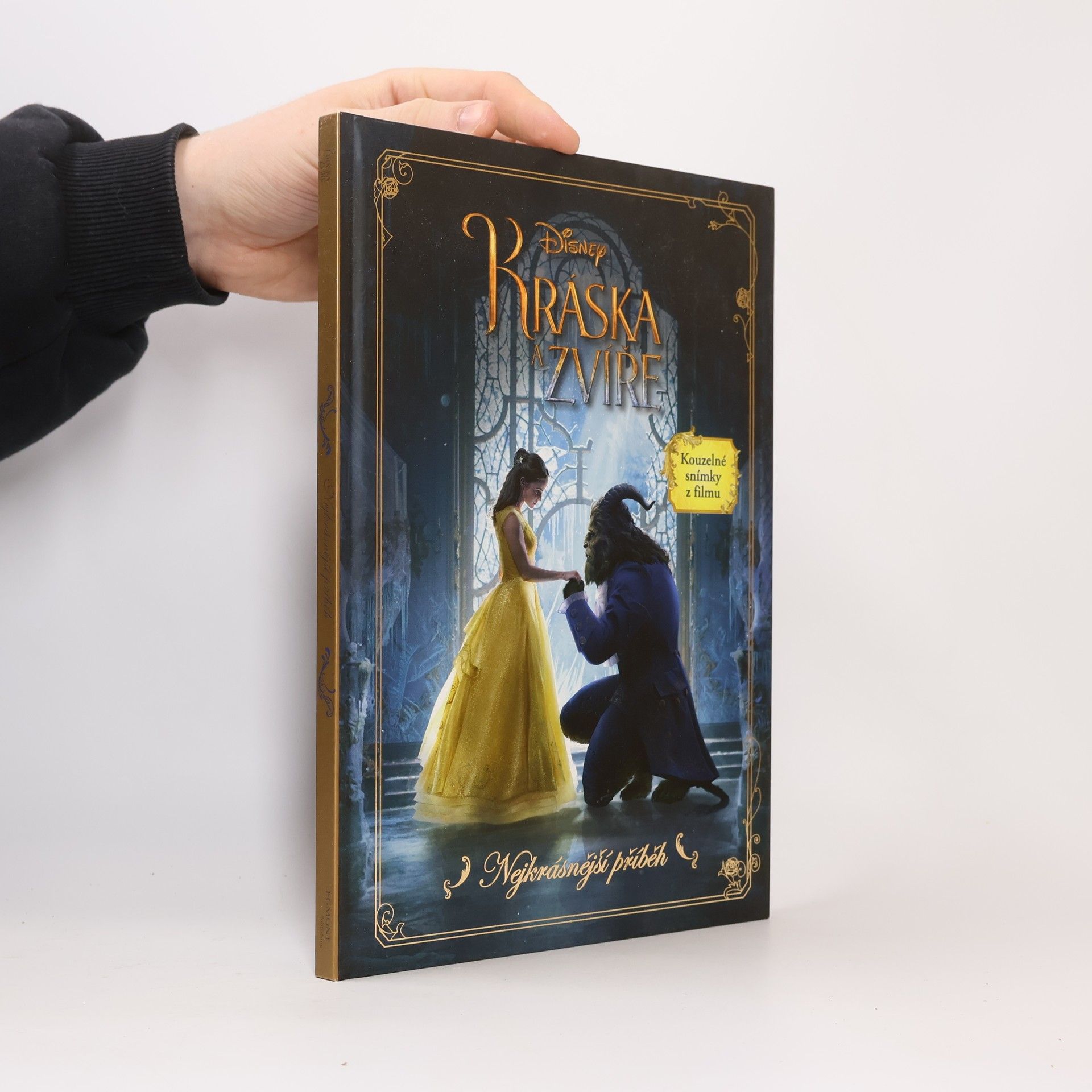 Kolektiv autorů Kráska a zvíře