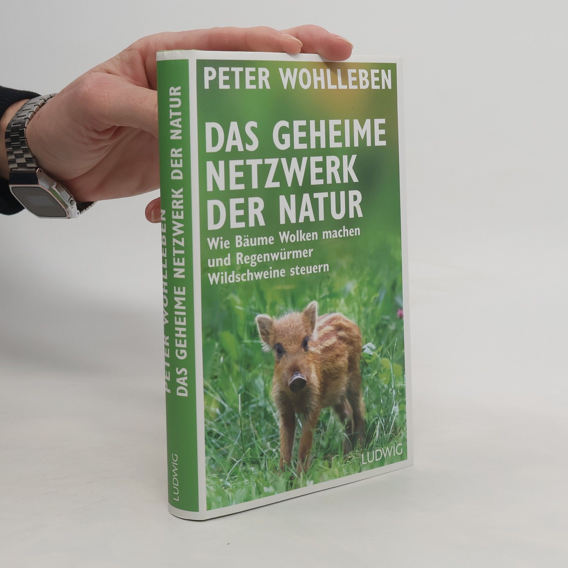 Das geheime Netzwerk der Natur