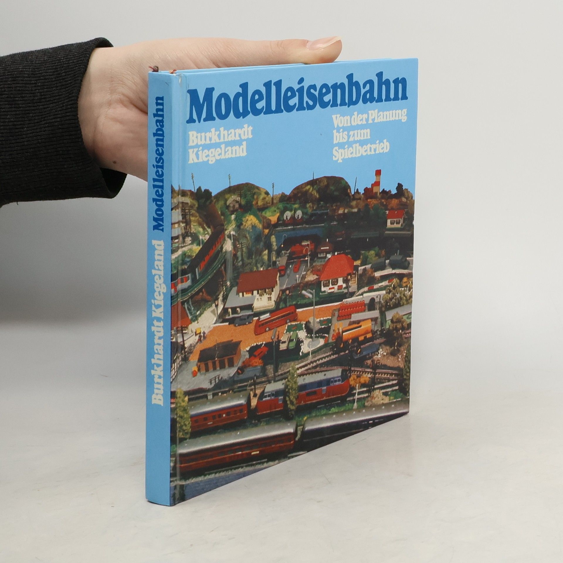 Modelleisenbahn. Von der Planung bis zum Spielbetrieb