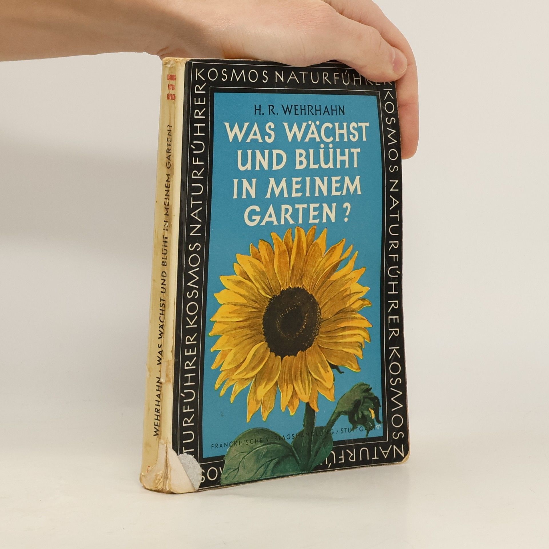 Was wächst und Blüht in meinen Garten