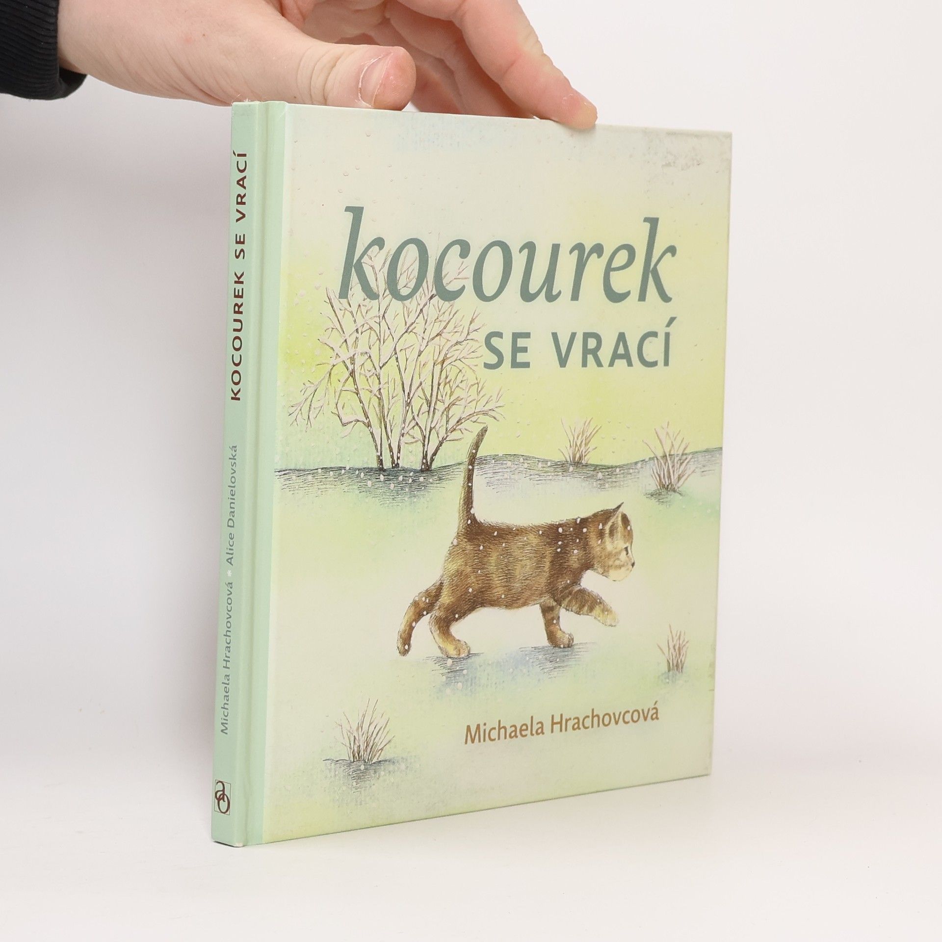 Michaela Hrachovcová Kocourek se vrací