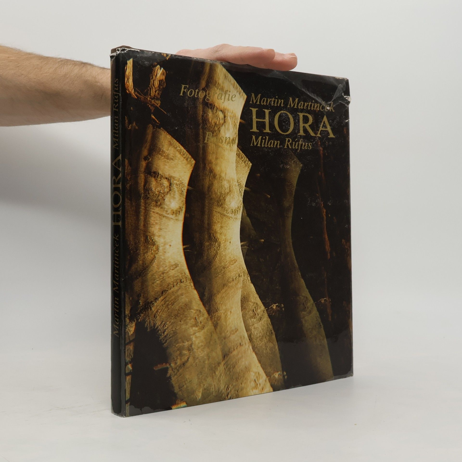 Martin Martinček Hora