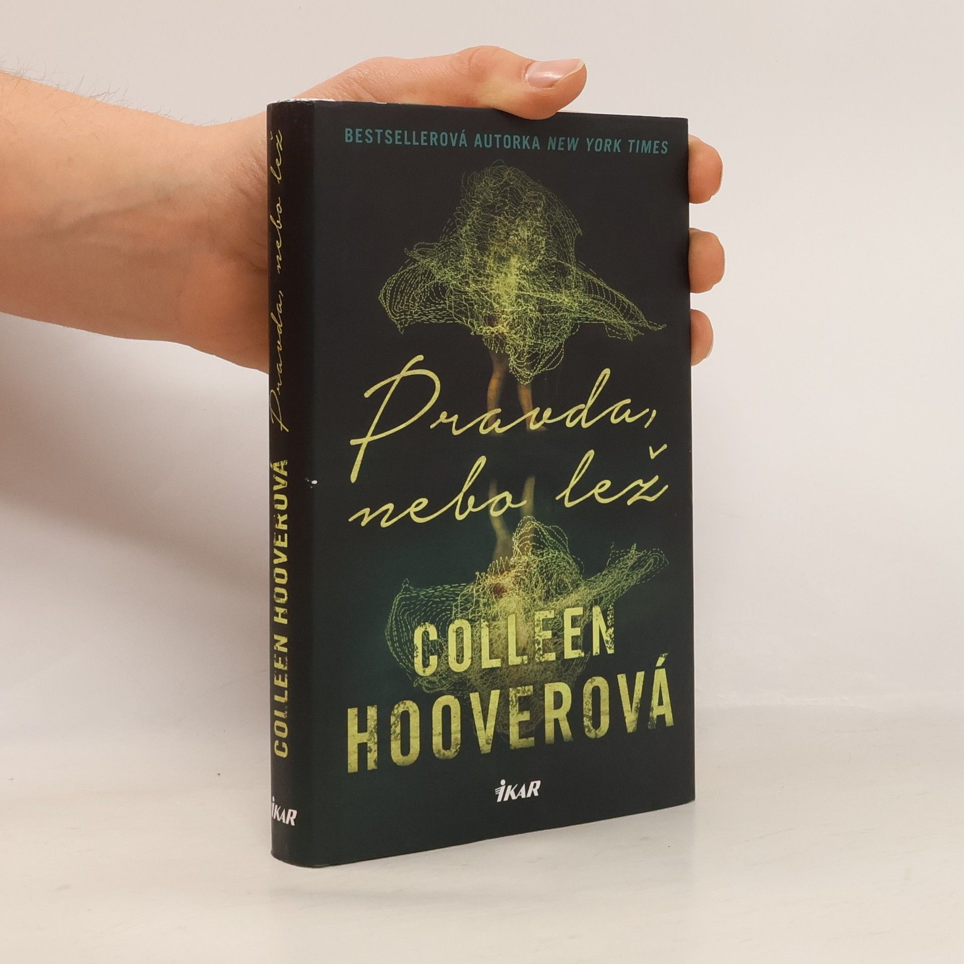 Colleen Hoover Pravda nebo lež