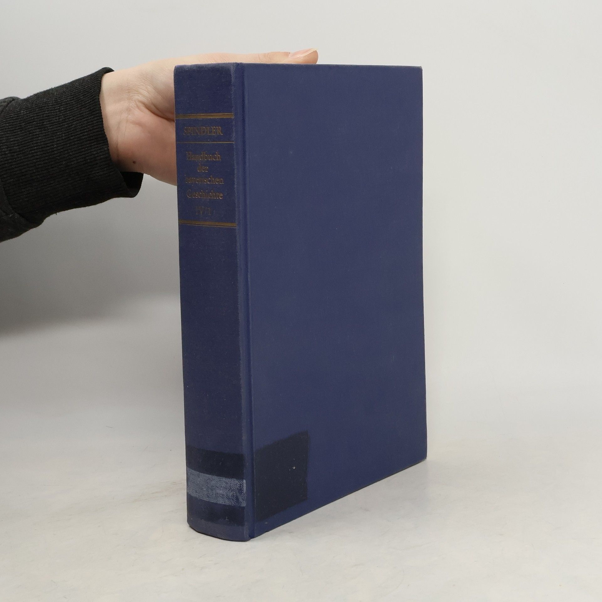 Handbuch der bayerischen Geschichte. Band 4