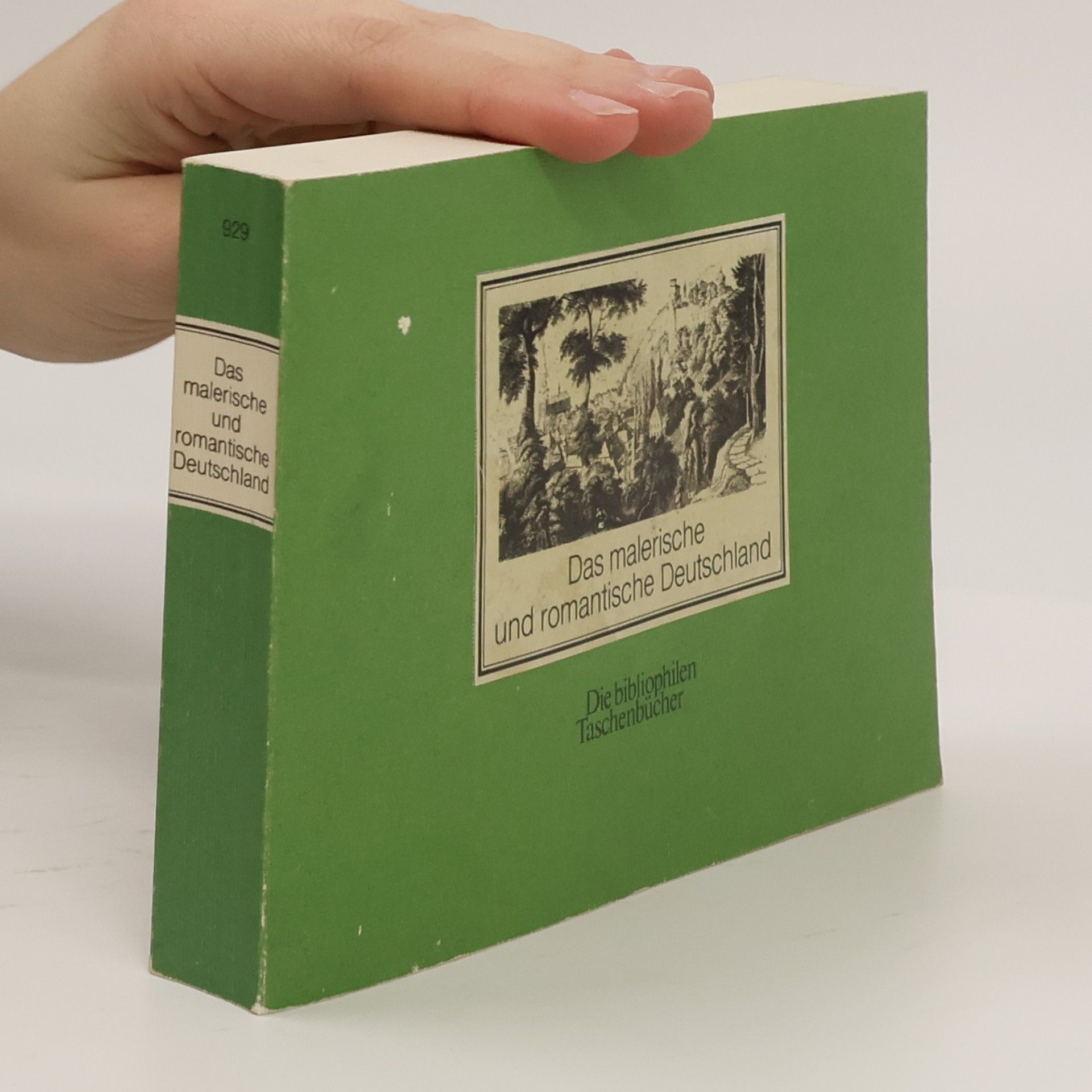 Kolektiv autorů Das malerische und romantische Deutschland