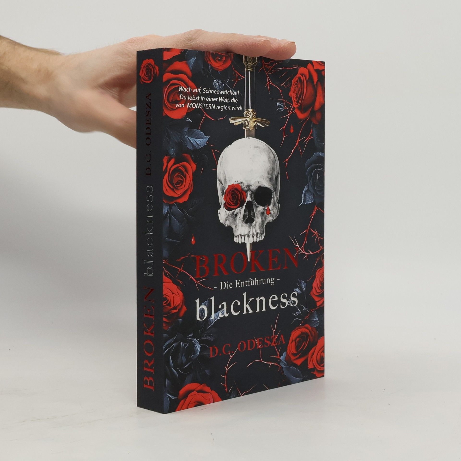 D. C. Odesza Broken blackness. Die Entführung