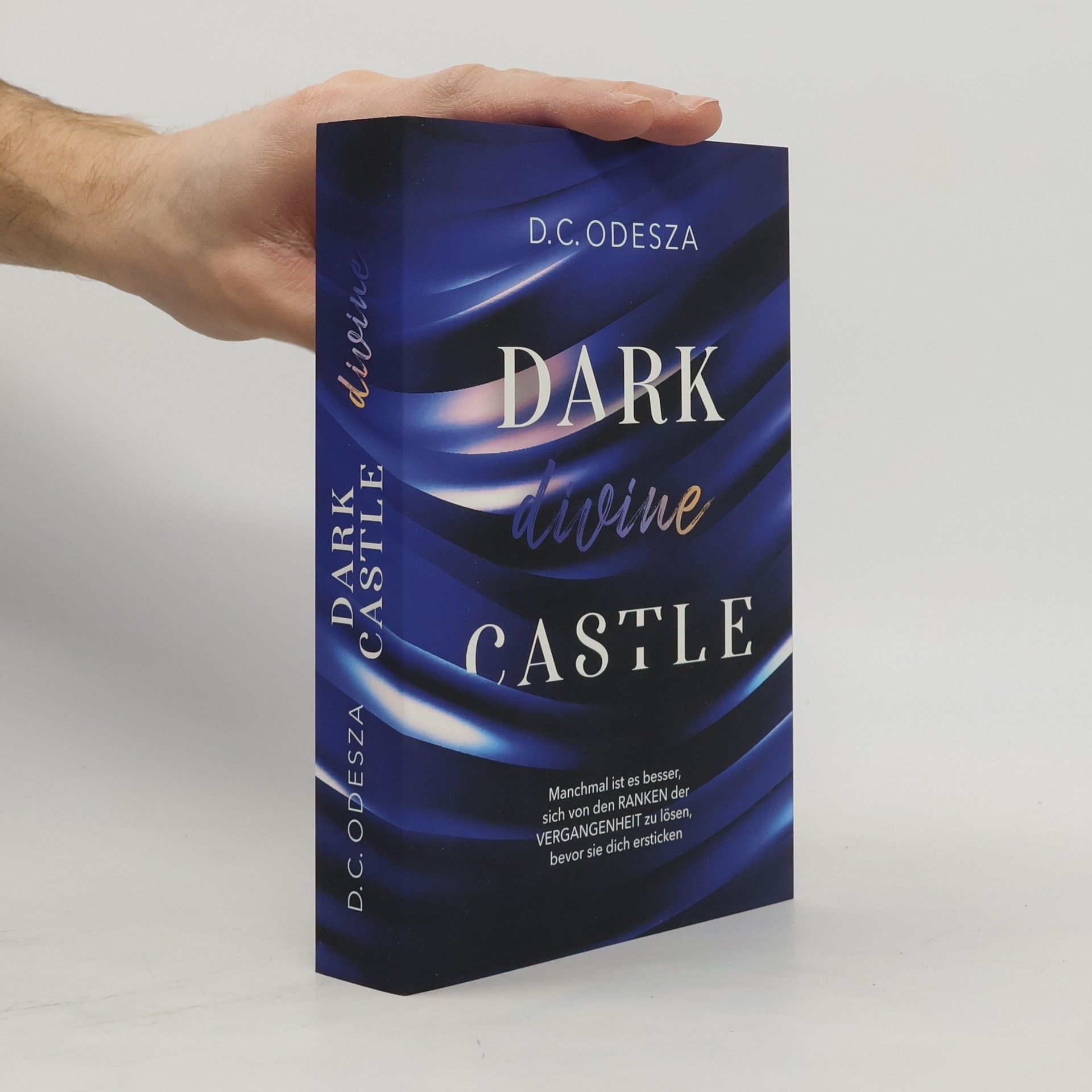 D. C. Odesza Dark Divine Castle